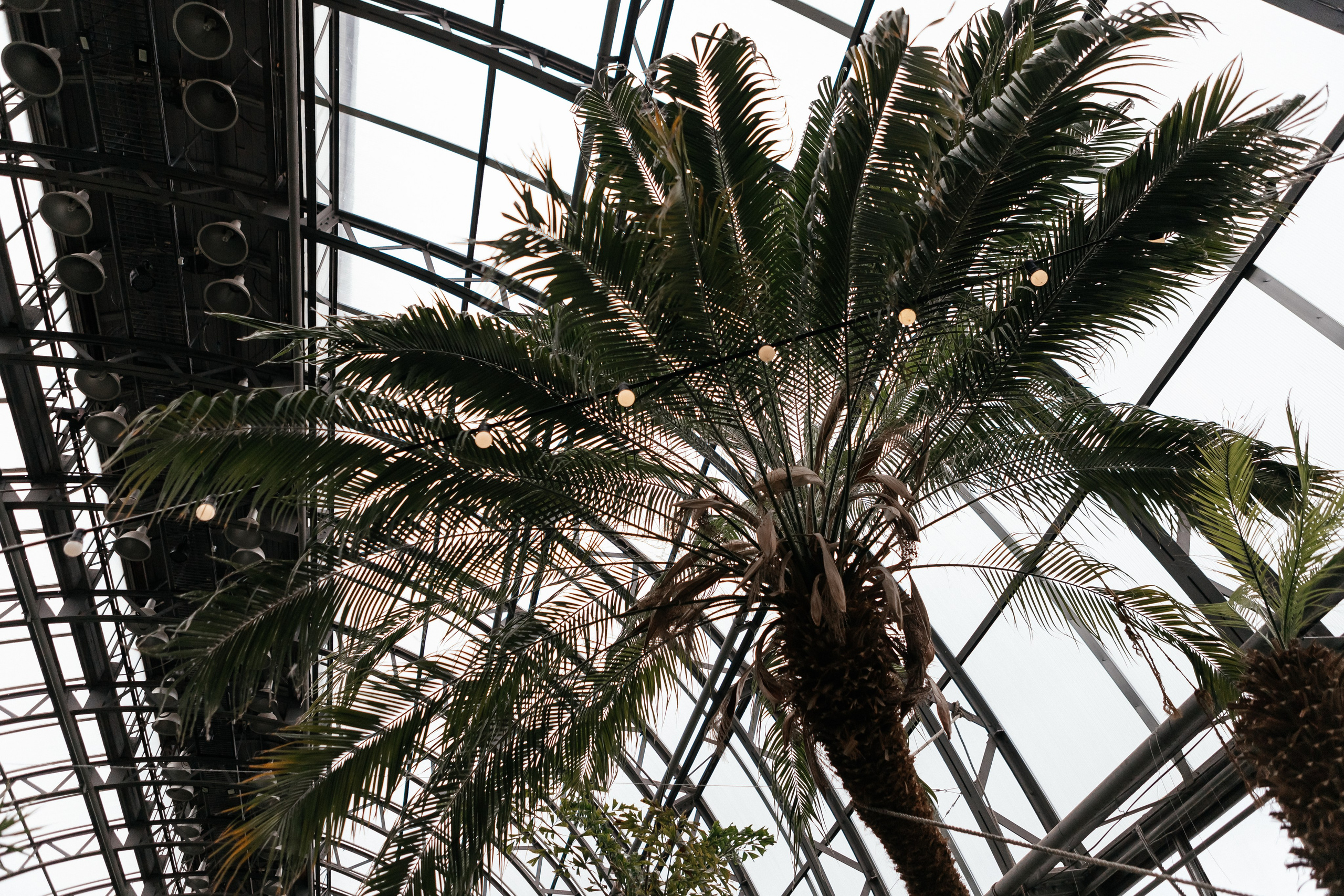 H & A. Семейный и свадебный фотограф в Петербурге Евгения и Николай Шевчук