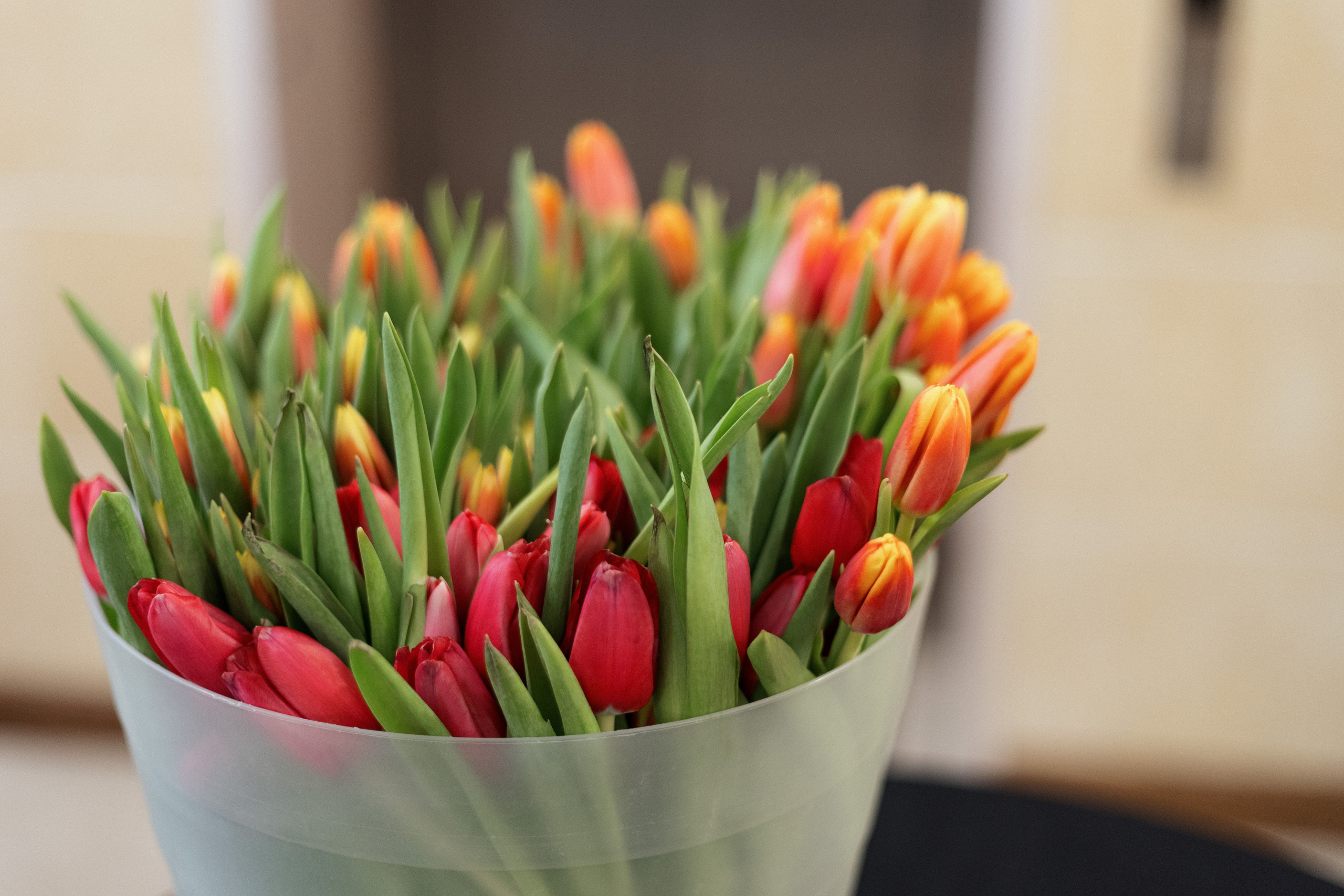 Конференция моды и дизайнеров — ТОЧКИ РОСТА 2026. СВОИ. ФОТООТЧЕТЫ-СОБЫТИЯ-МЕСТА