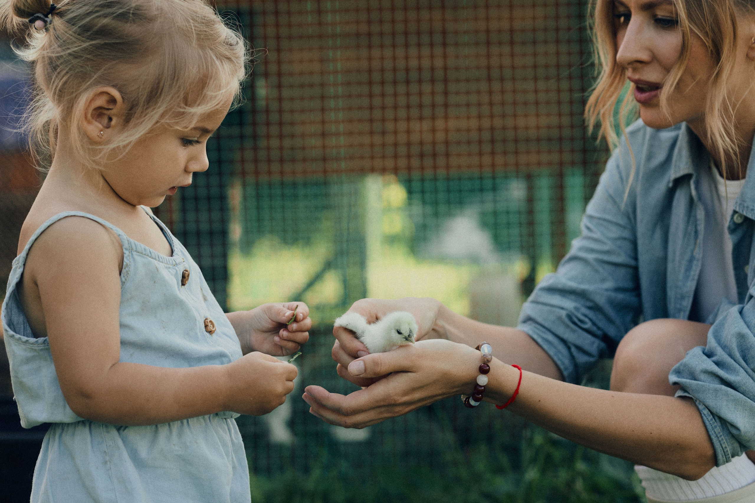 Портфолио. Edomaphoto.ru