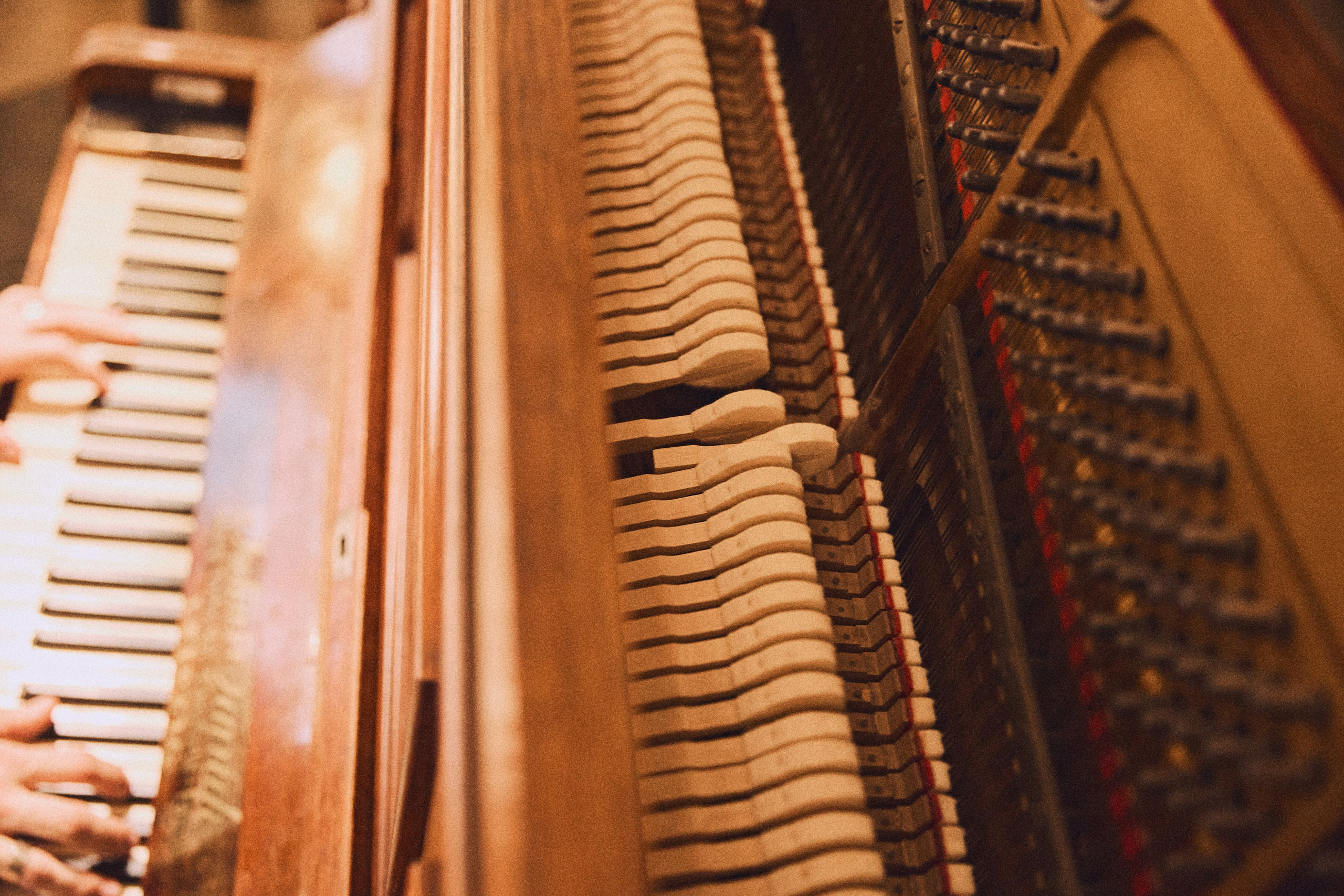 50 YEARS TOGETHER. Дмитрий Мазуркевич: Профессиональный Репортажный Фотограф