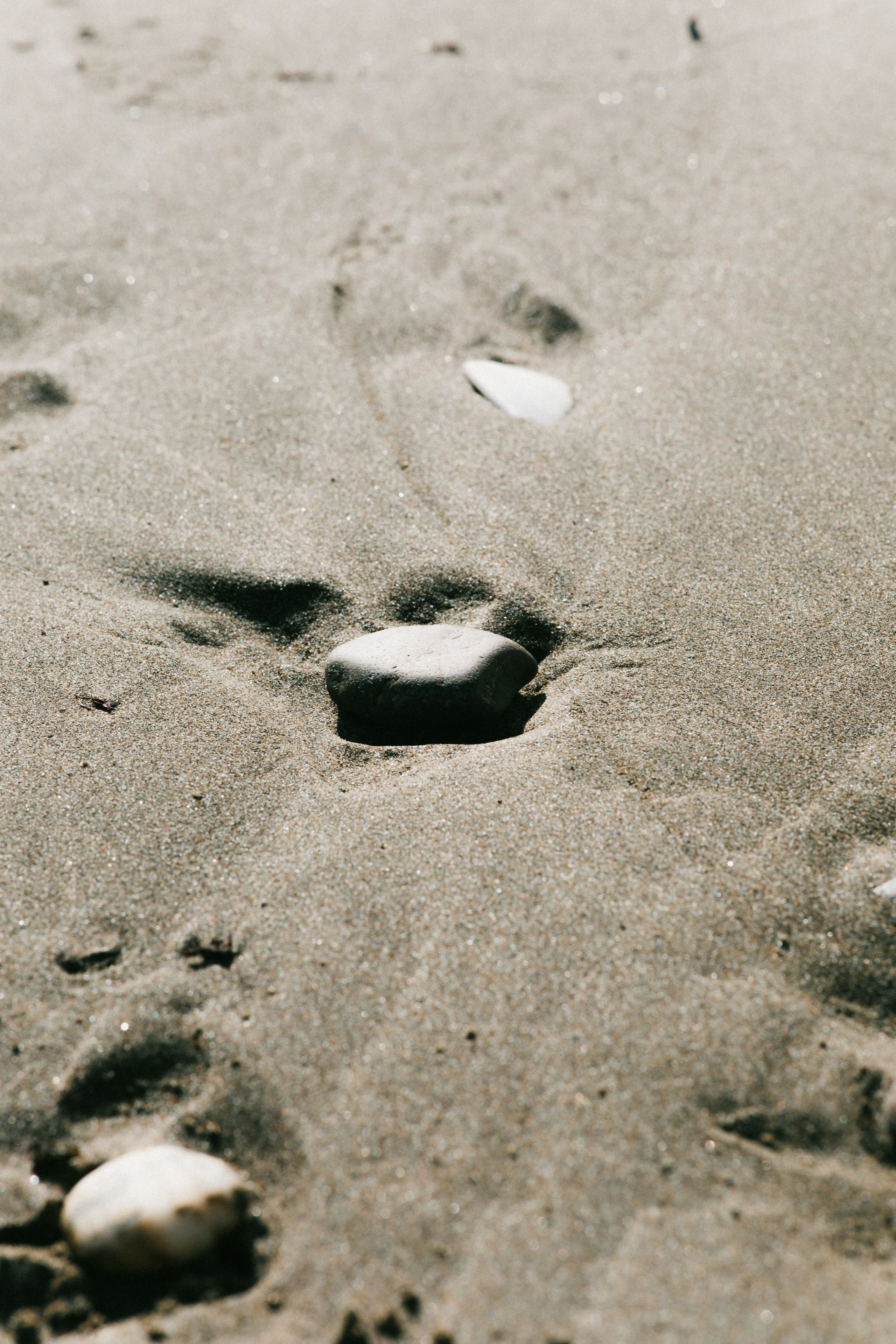 Portfolio. @beingabird.photography