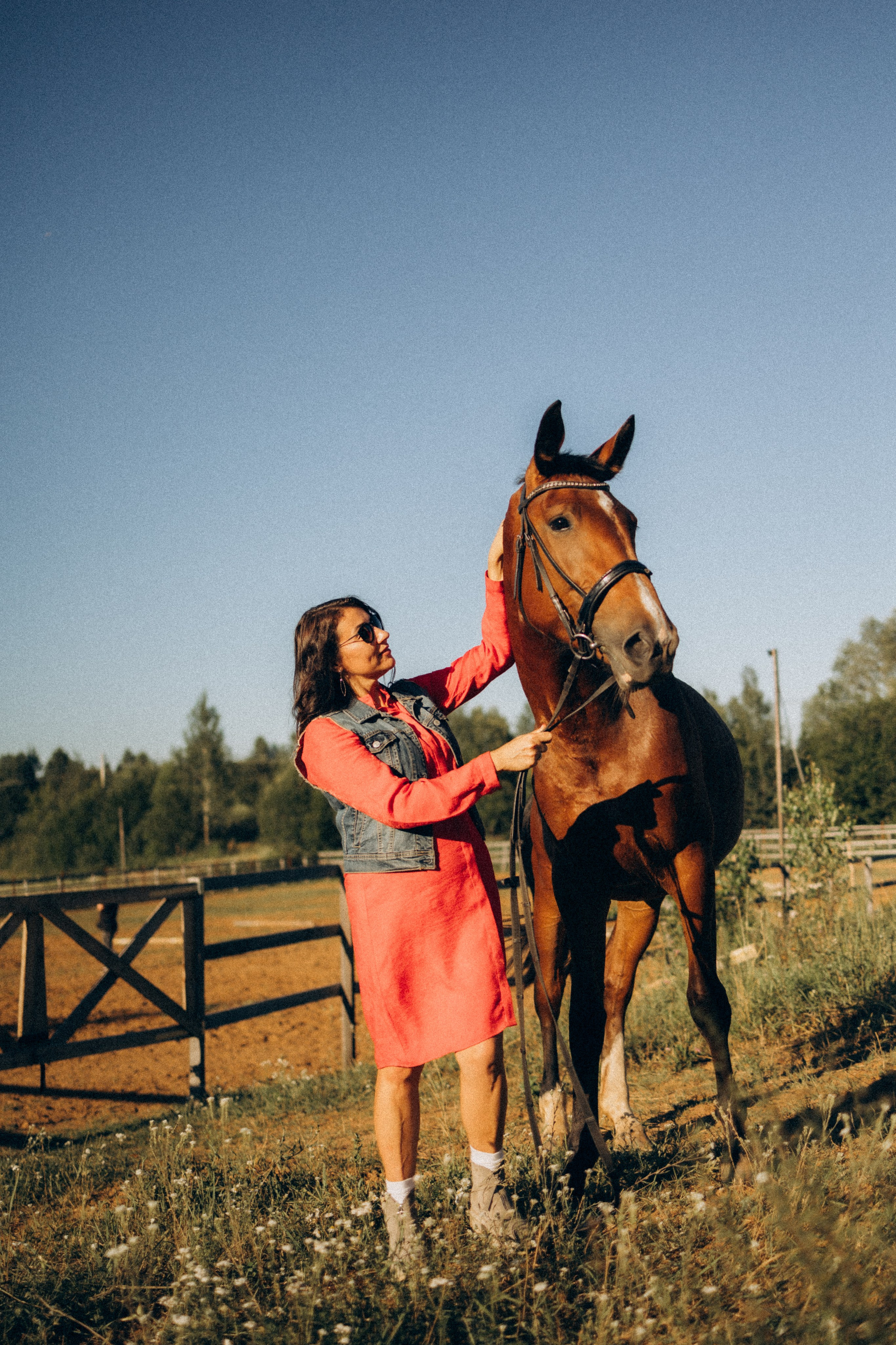 А в деревни лошади. Фотограф Москва Светлана Кирюшина