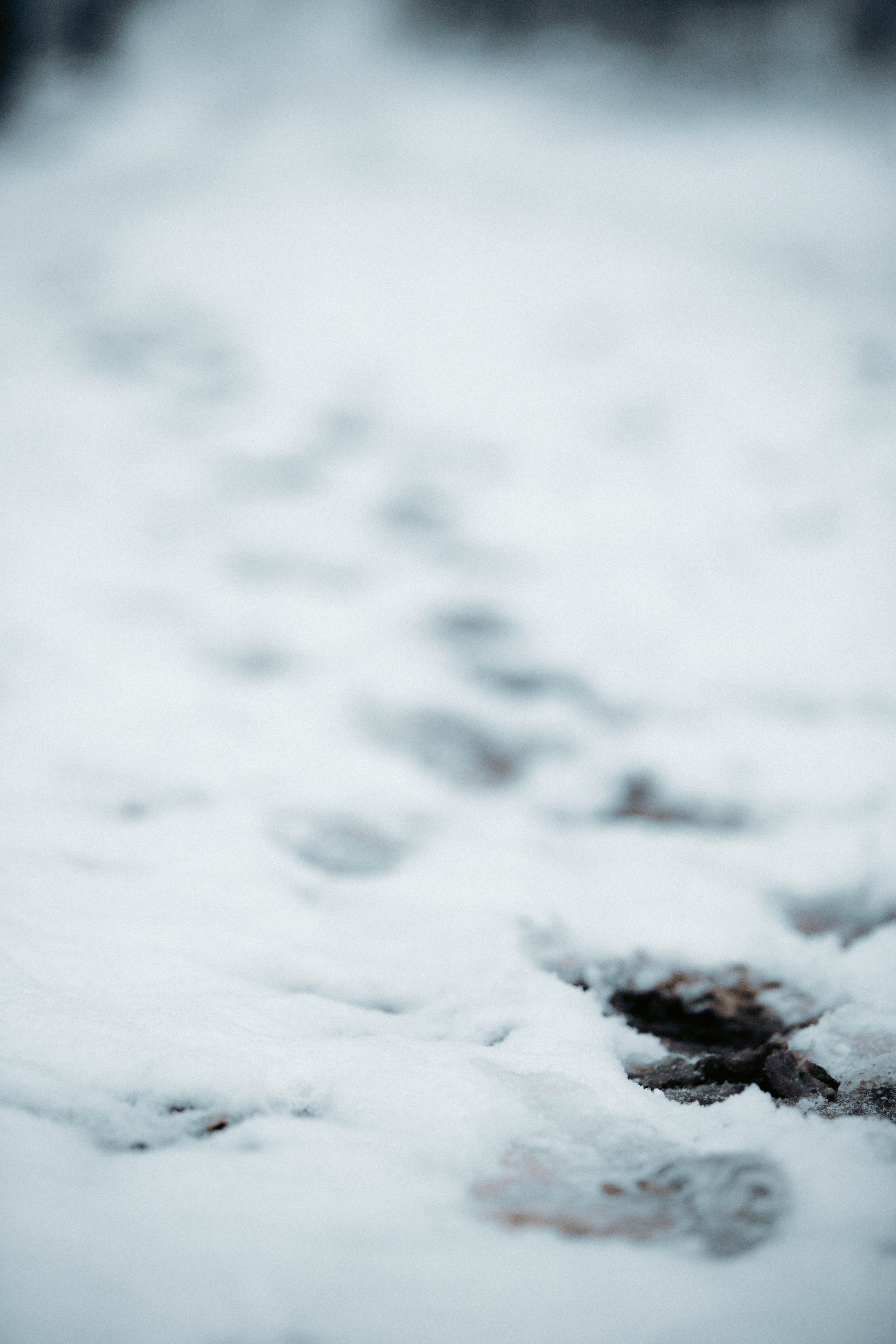 Марафон у дома_Бунино. Александра Мельниченко/ Бегающий фотограф