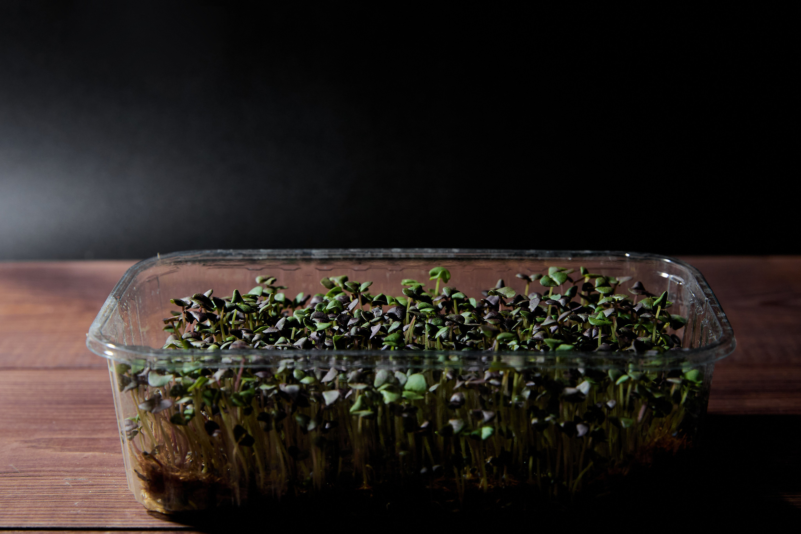 Ферма «Брод». Фотограф Александра Иванова