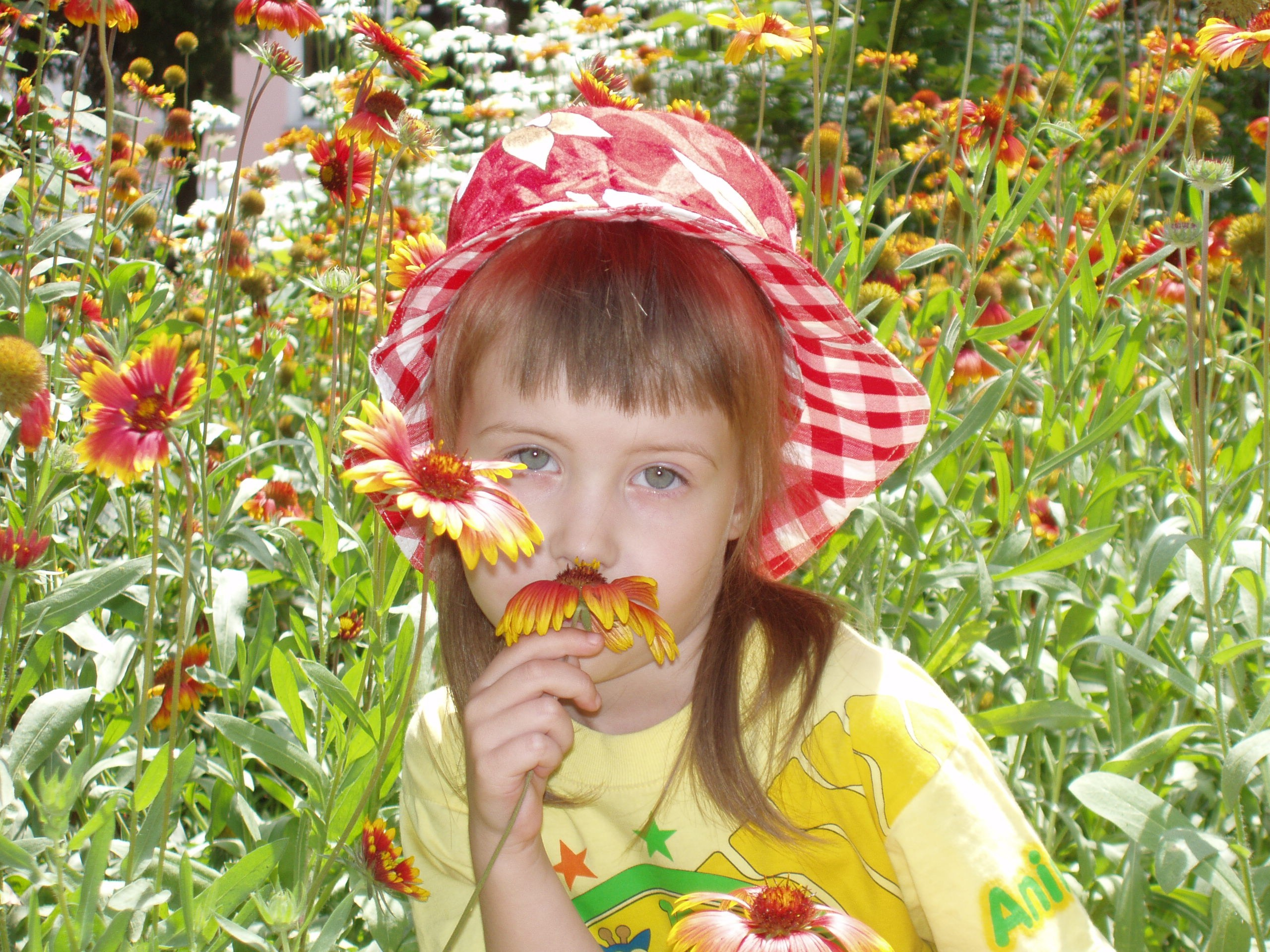 Отпуск 23.06-24.07 (Белора, гора Ахун, Сочи, Красная поляна, Украина). Семейный, Свадебный фотограф СПБ Питер— Романова Екатерина