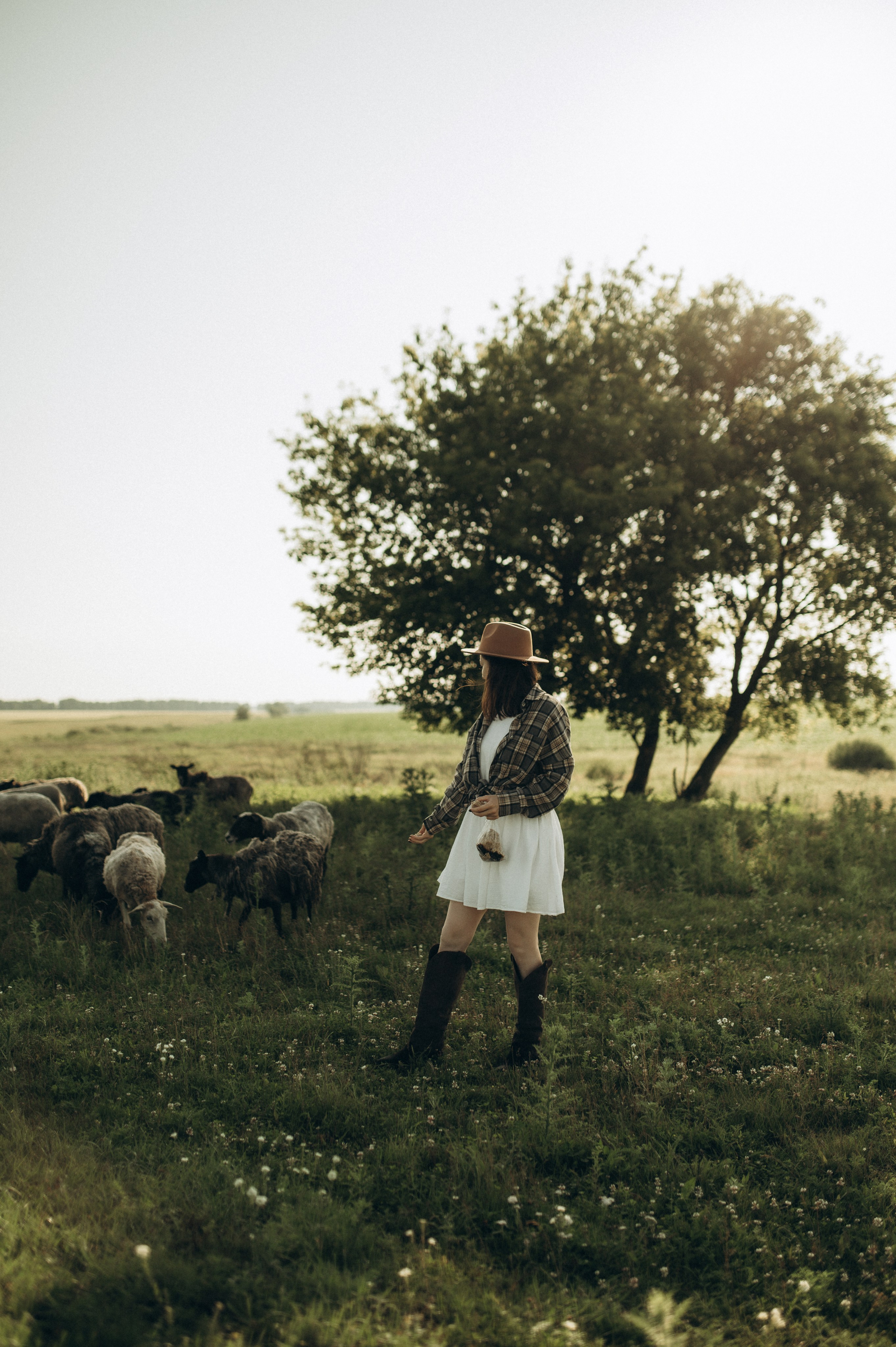 Фотосессия с овечками. Фотограф Быстрова Дарья г. Москва