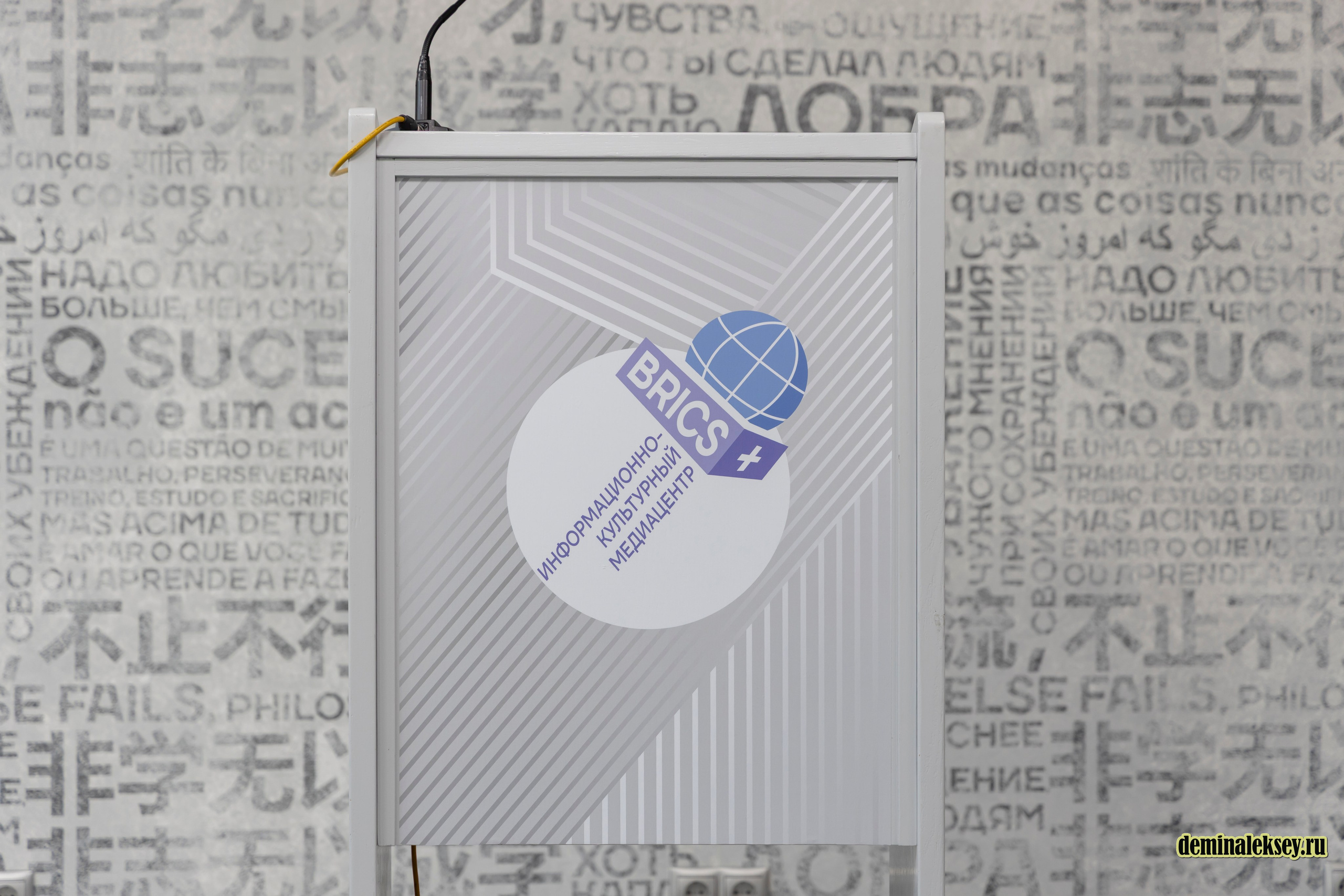 Экспертный круглый стол «День БРИКС» в «Иностранке». Репортажный, семейный и студийный фотограф в Москве Демин Алексей