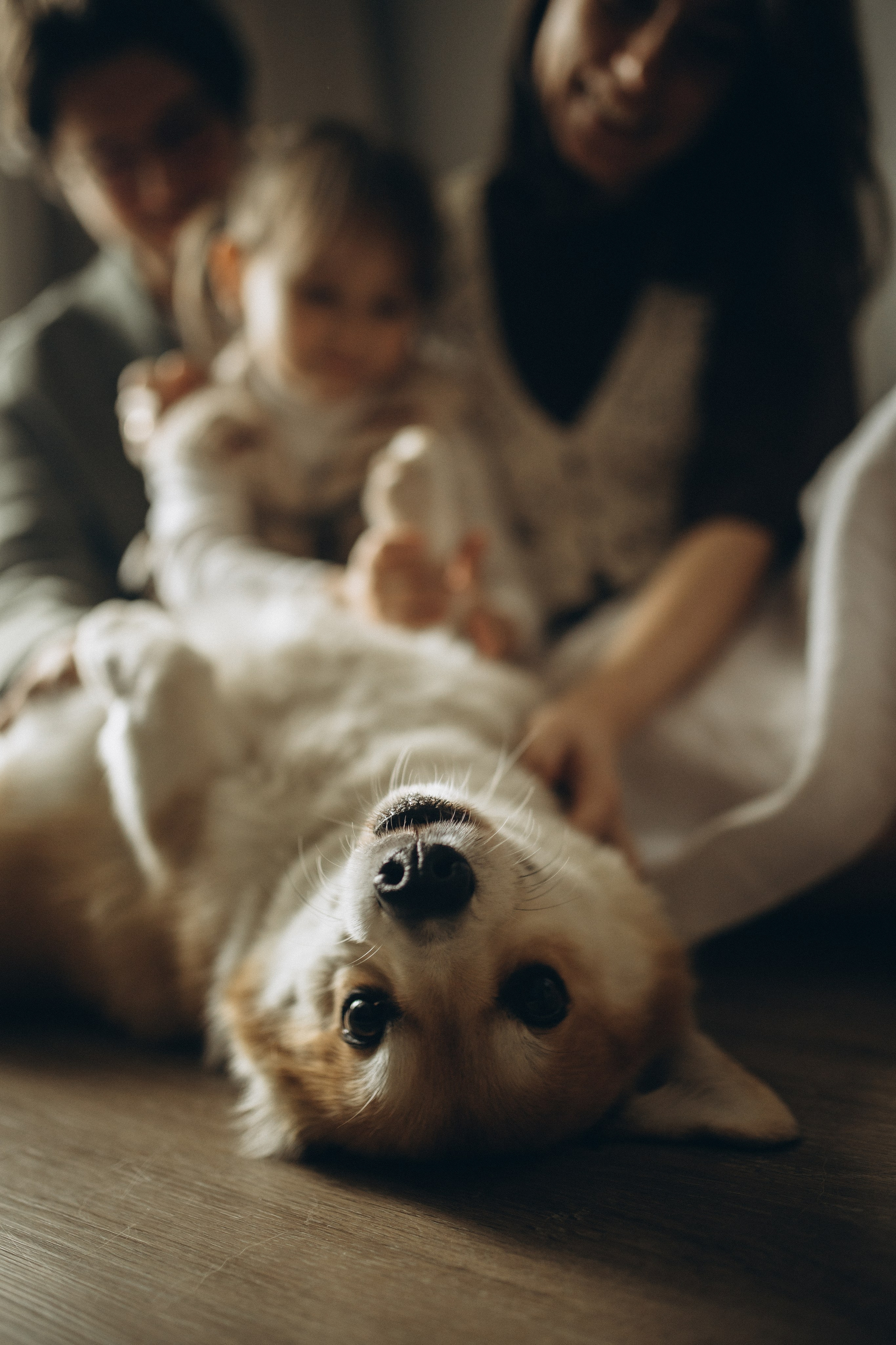 Светлана, Никита и Василиса. Фотограф в Санкт-Петербурге