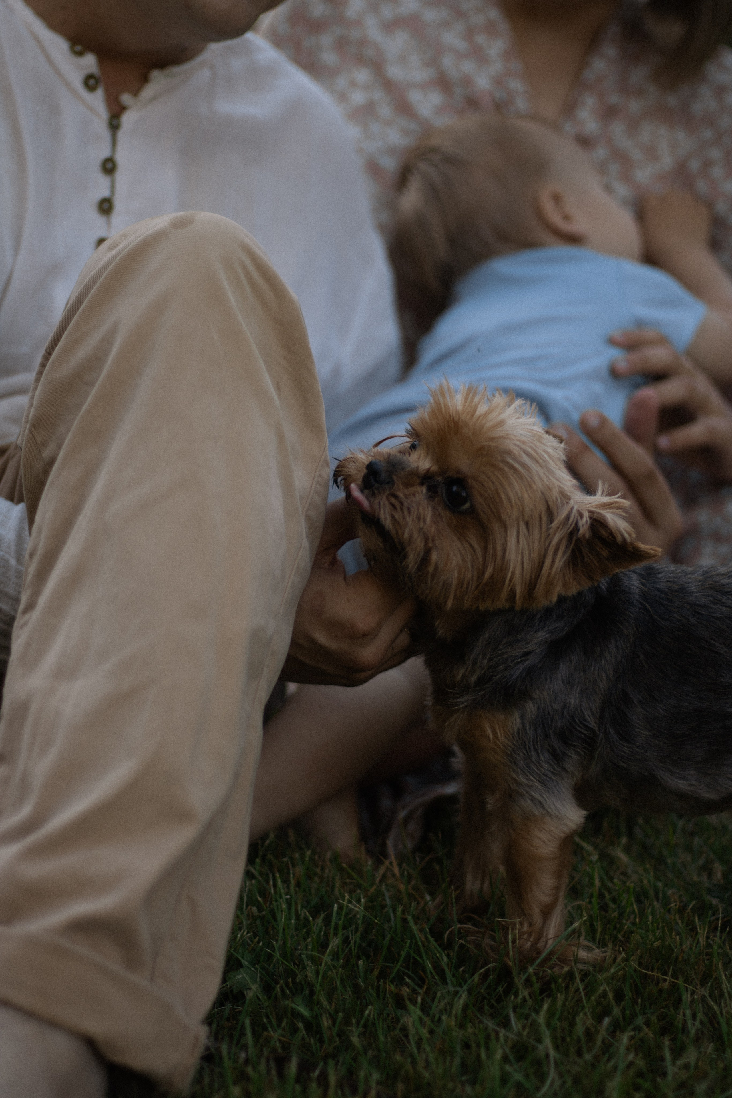 Nastya + Ivan + Fedya. Lusy Redina | Семейный Фотограф | Волгоград