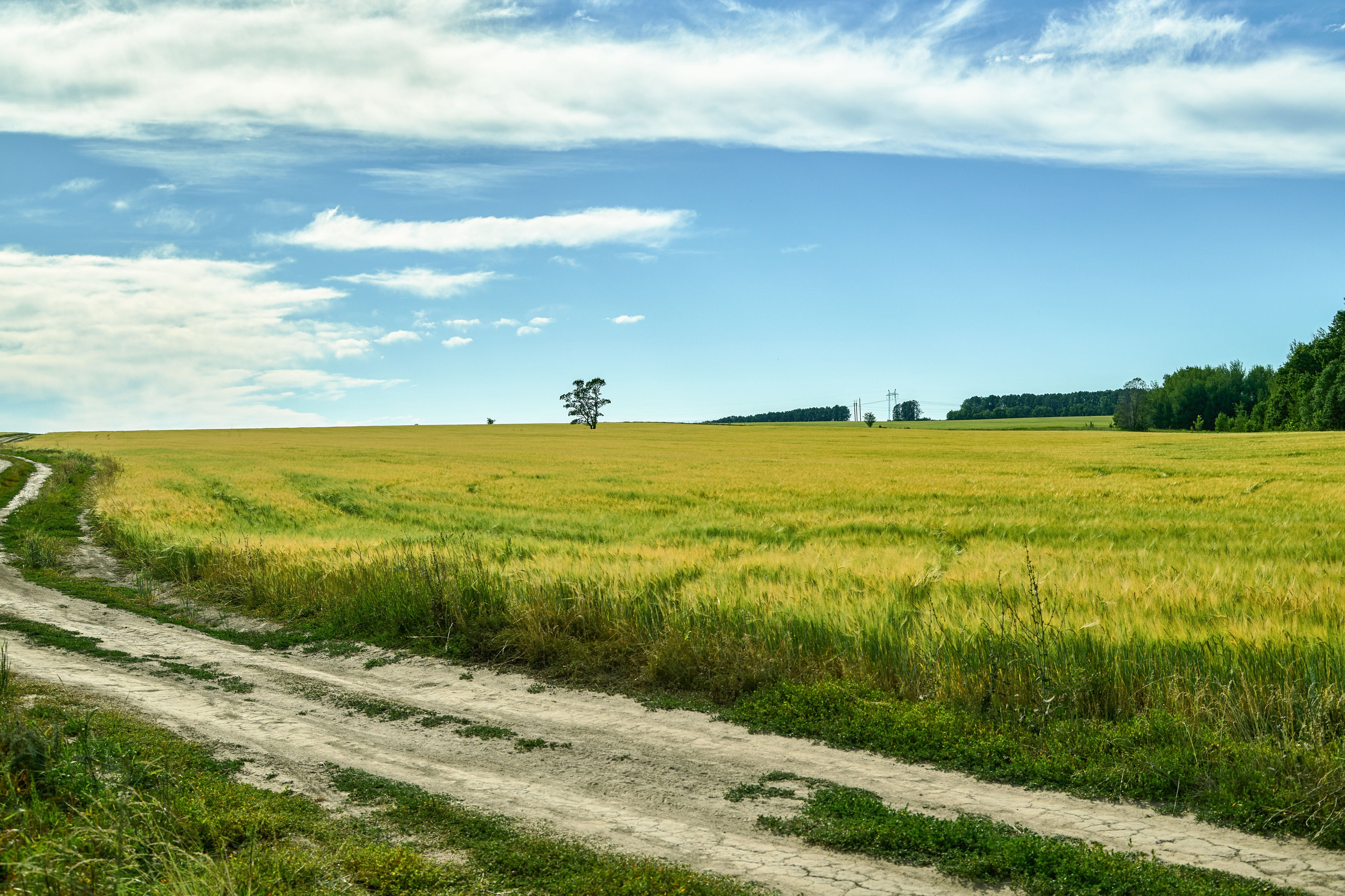 Пейзажная фотосъемка. Владимир Суздалов (ProMaXe) — Портретный фотограф, тематические фотосессии в Чебоксарах