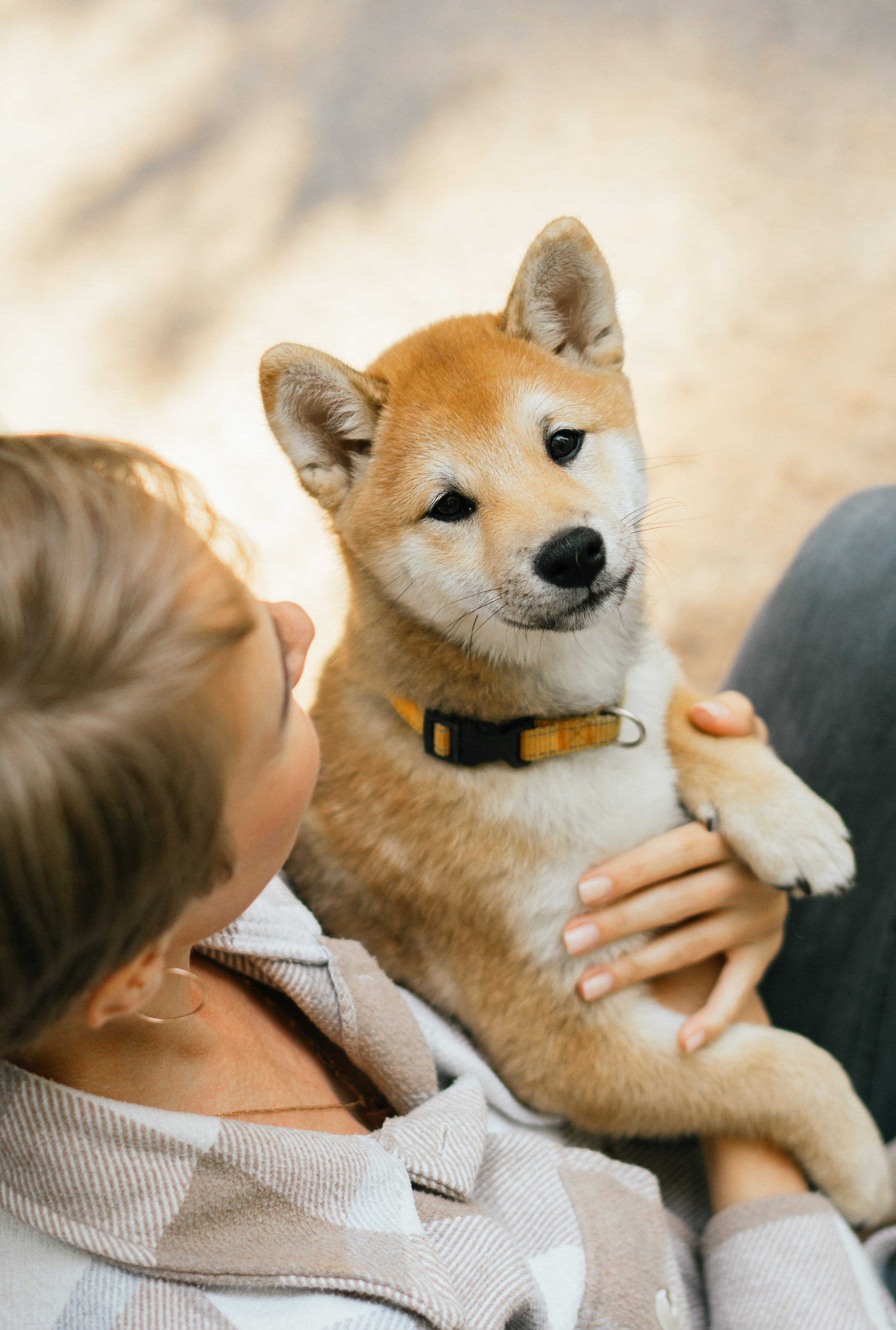 Любимые питомцы. Живые снимки! Фотограф Даша Бендер