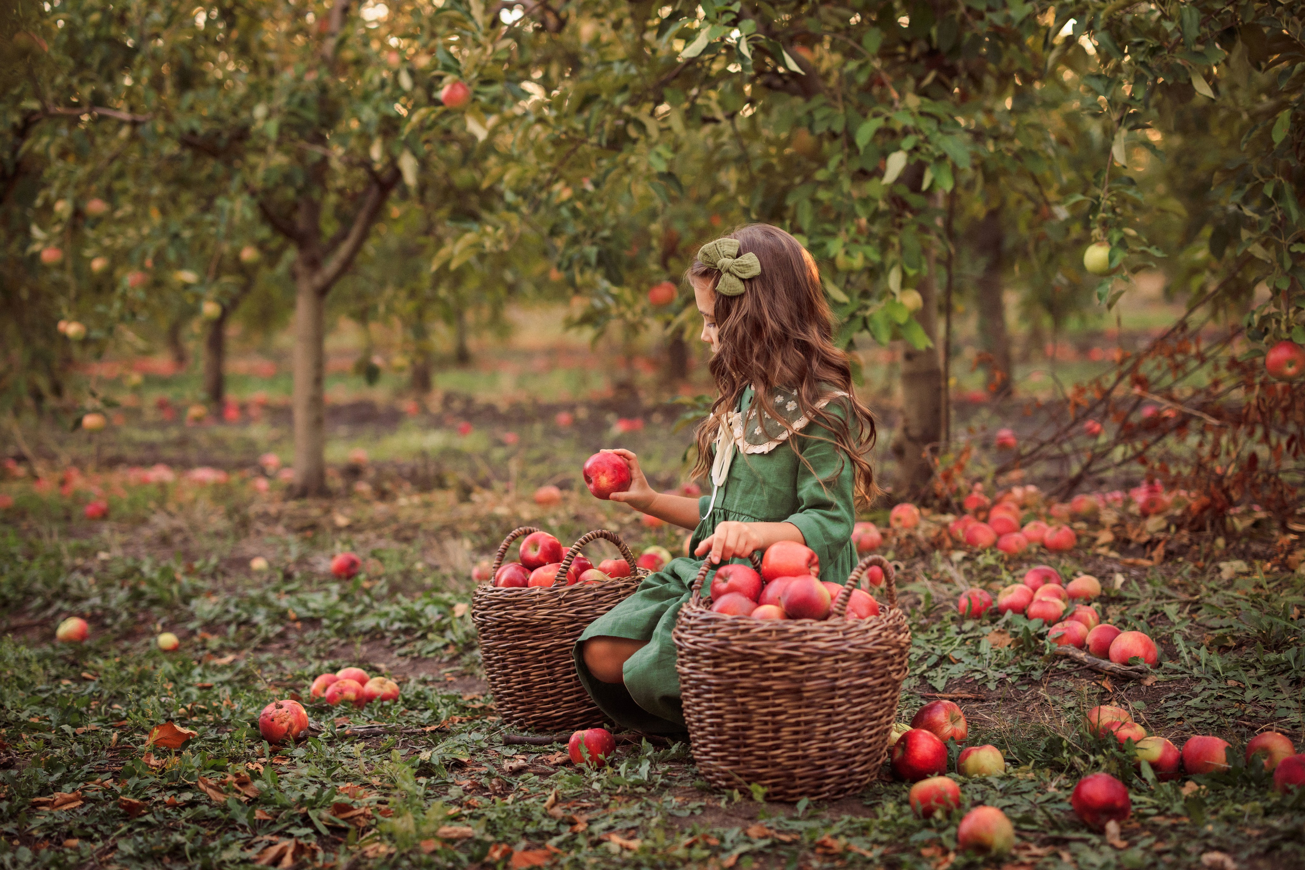 Семейная фотосессия в Яблоневом саду. Семейный и детский фотограф в Краснодаре Анна Трашкова