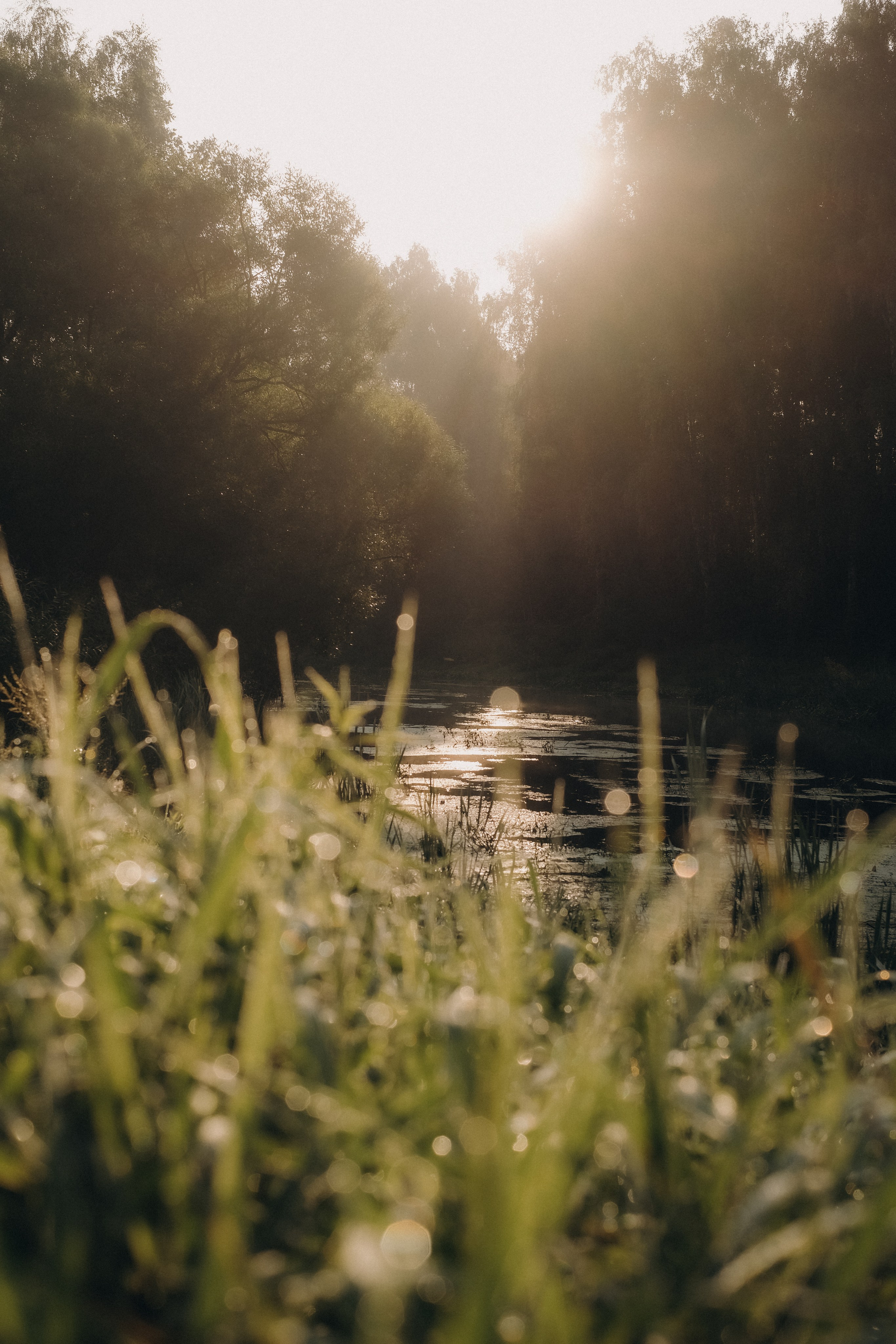 Рассветная на Клязьме. Свадебный и семейный фотограф в Москве Инника Кетлер