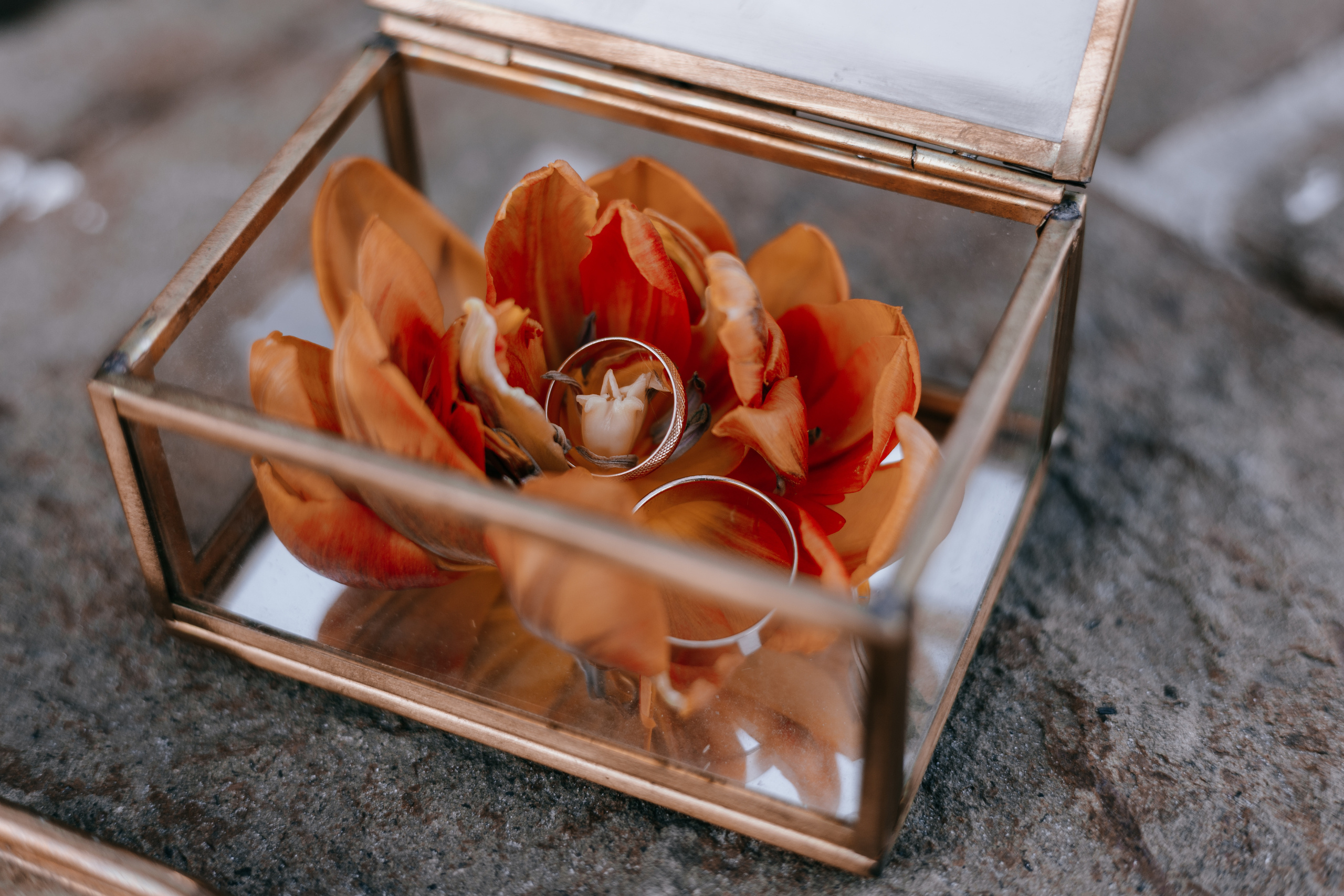 Сандра & Андрей. Фотограф Виктория Славнова