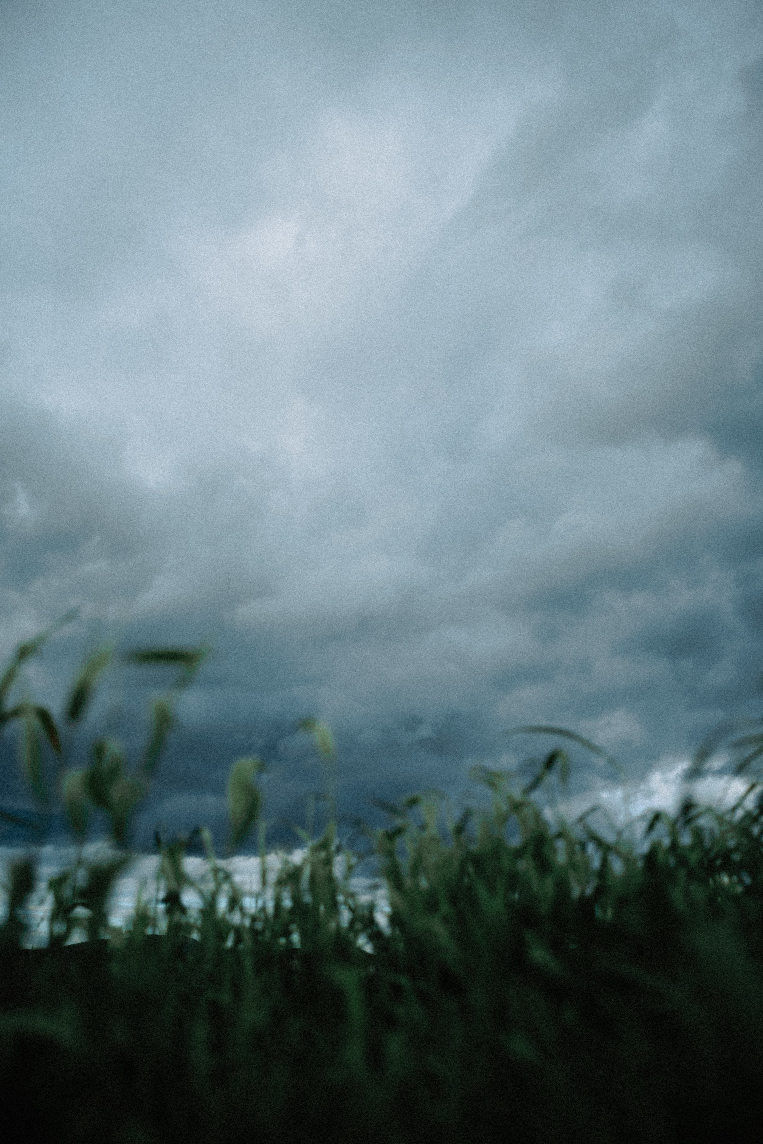 Териберка, Мурманск. Фотосъёмка для компании по организации туров в коллаборации с Яндекс 360