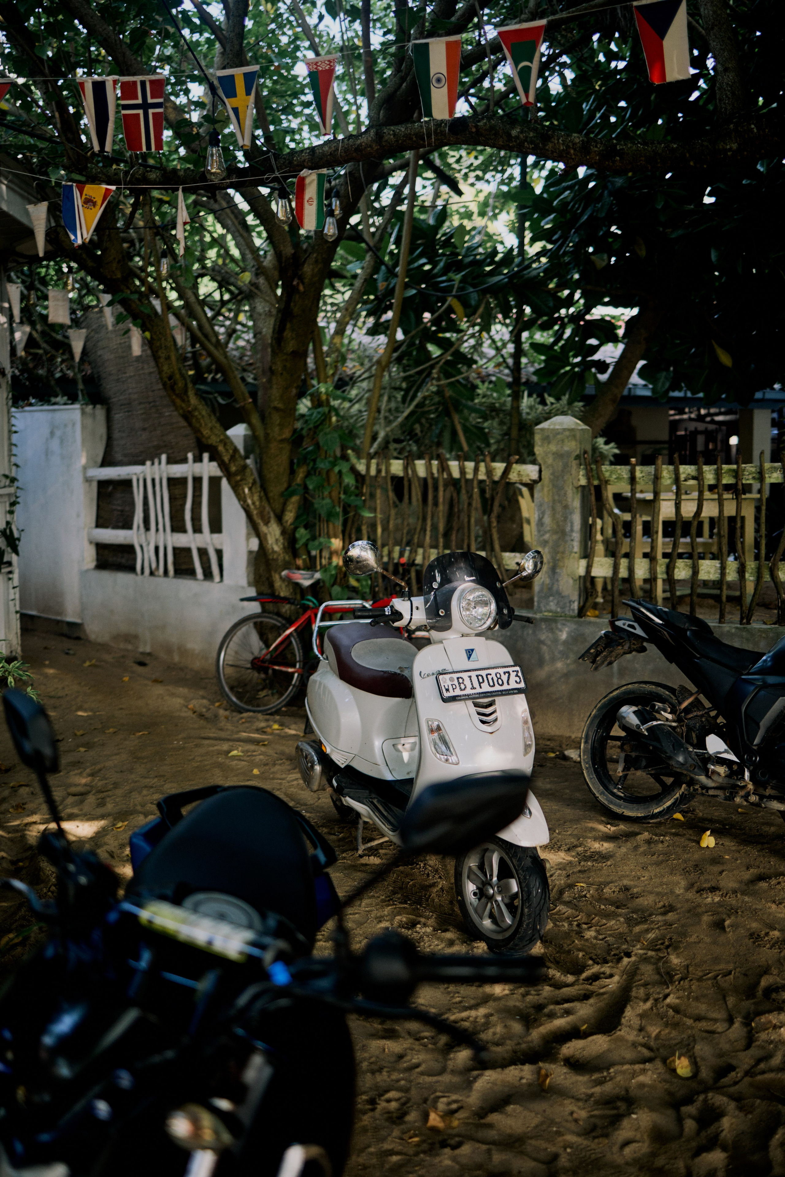 Шри-Ланка. Хороший репортажный и промышленный фотограф в Казани Алексей Щелконогов