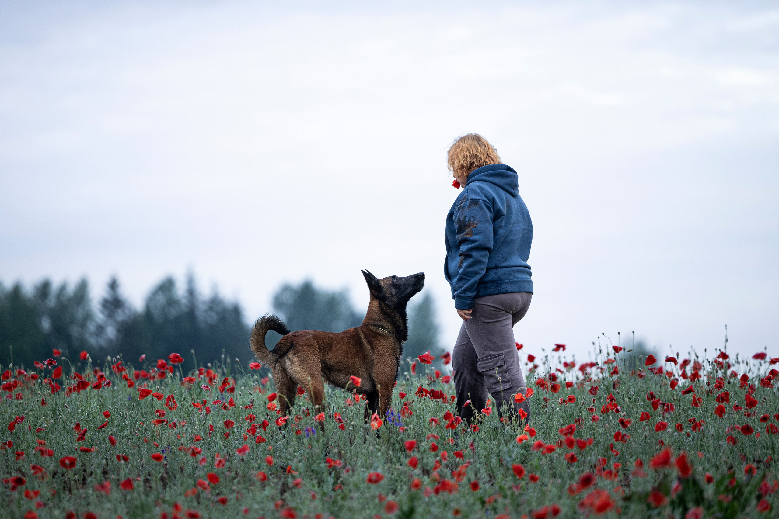 Маковое поле. Фотограф-анималист Анна Маринич