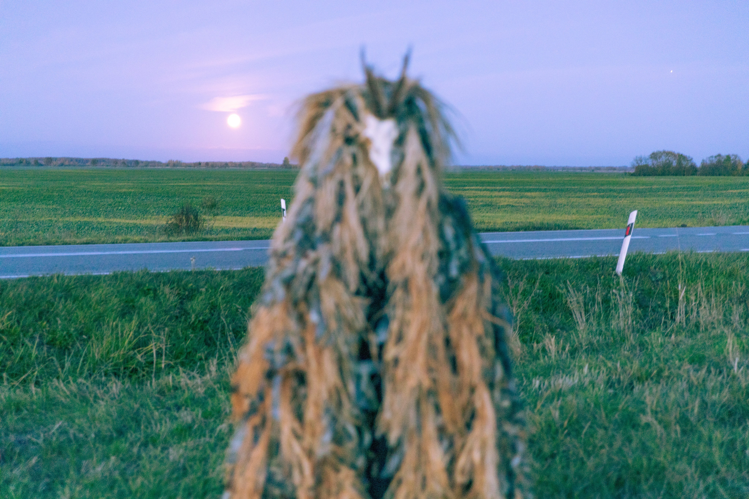 Настя Halloween. Фотограф Анастасия Горлач в Калининграде