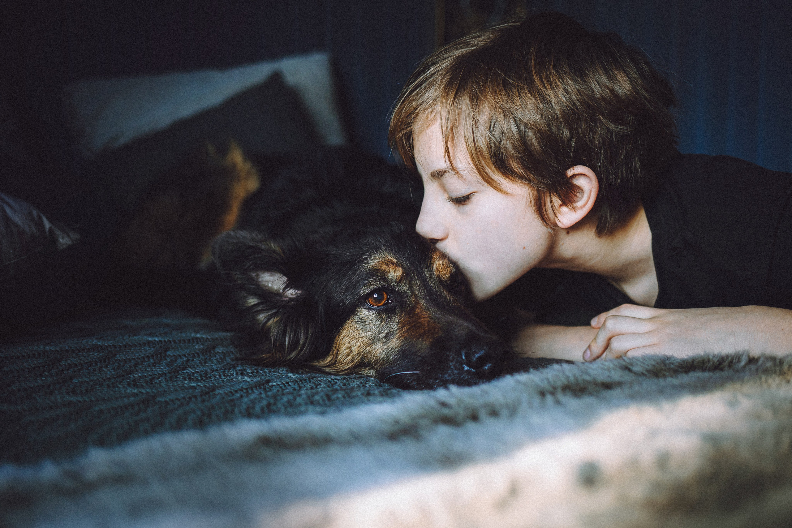 Плюш, Айса и их семья