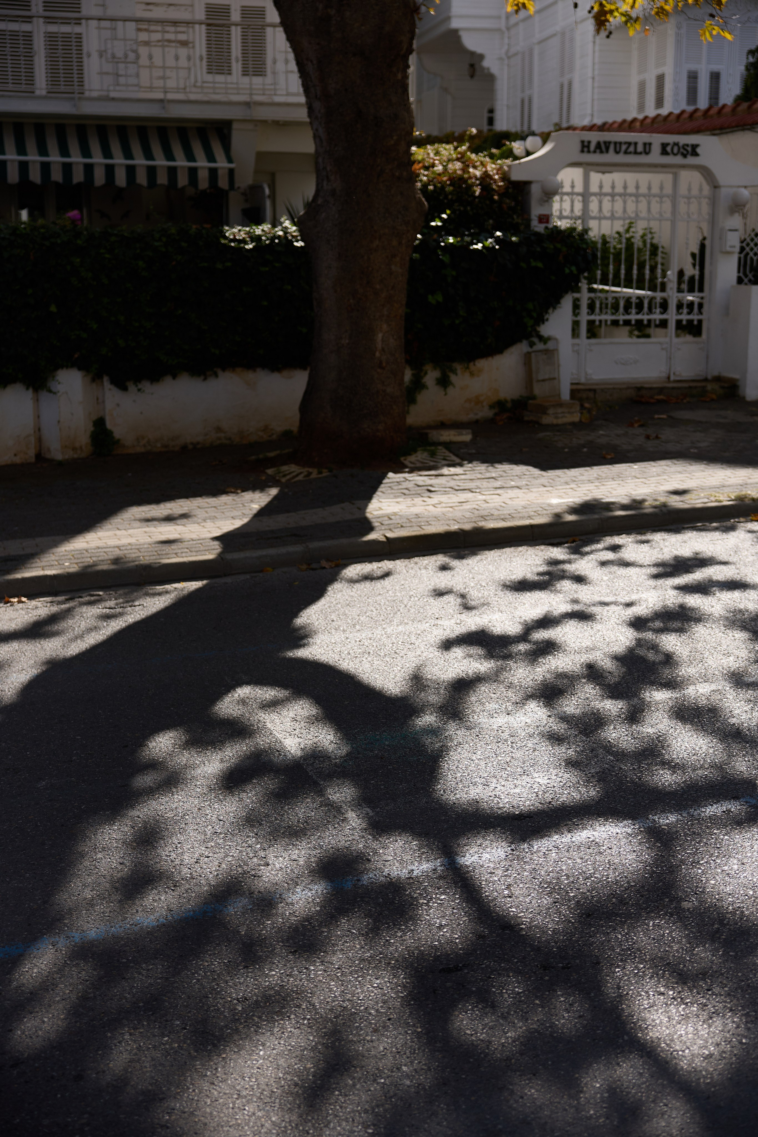 Стамбул 24. Фотограф Москва, Дима Пеллер