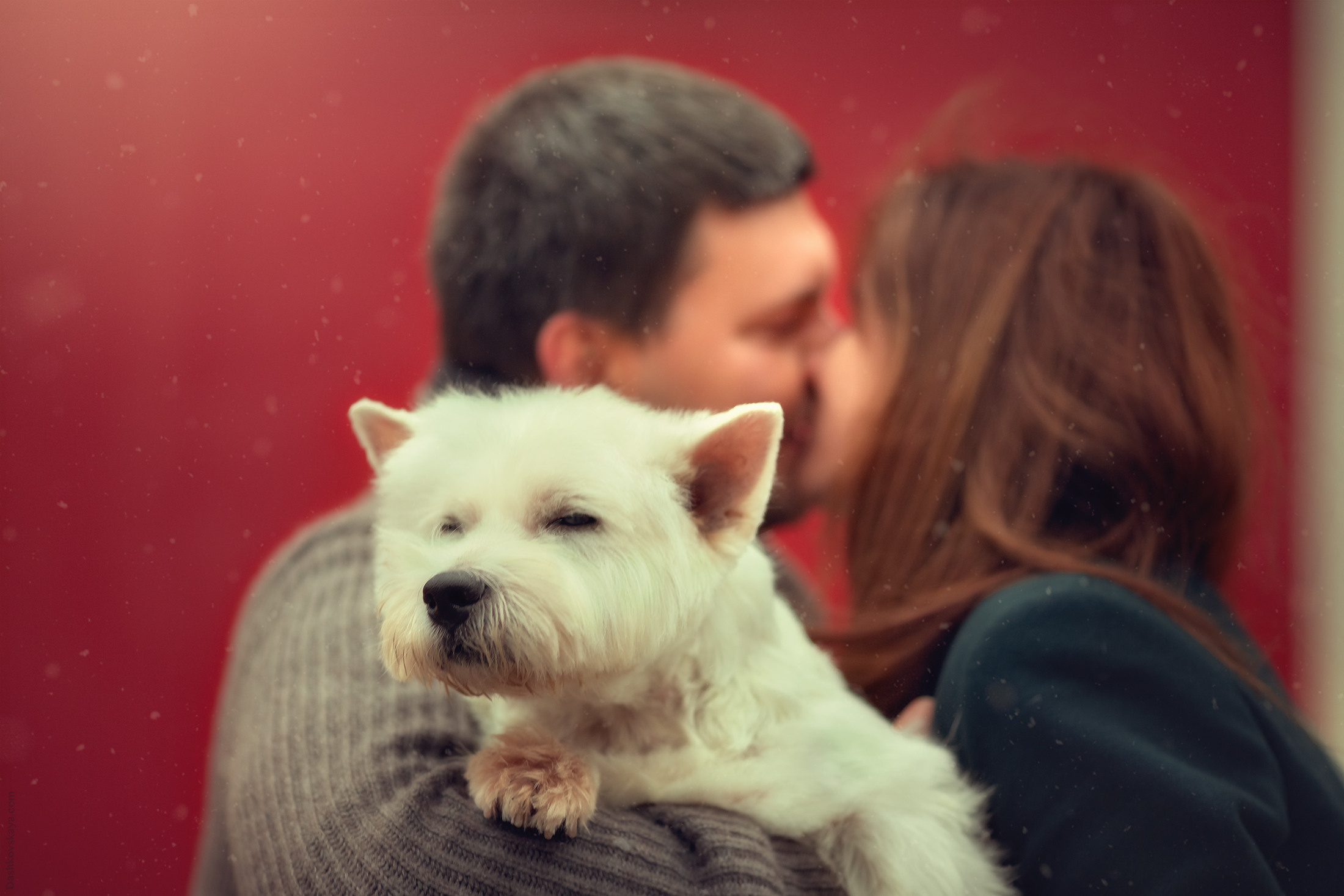 Couples. Family and Women’s Photographer| Texas | Dashkovskaya Ekaterina