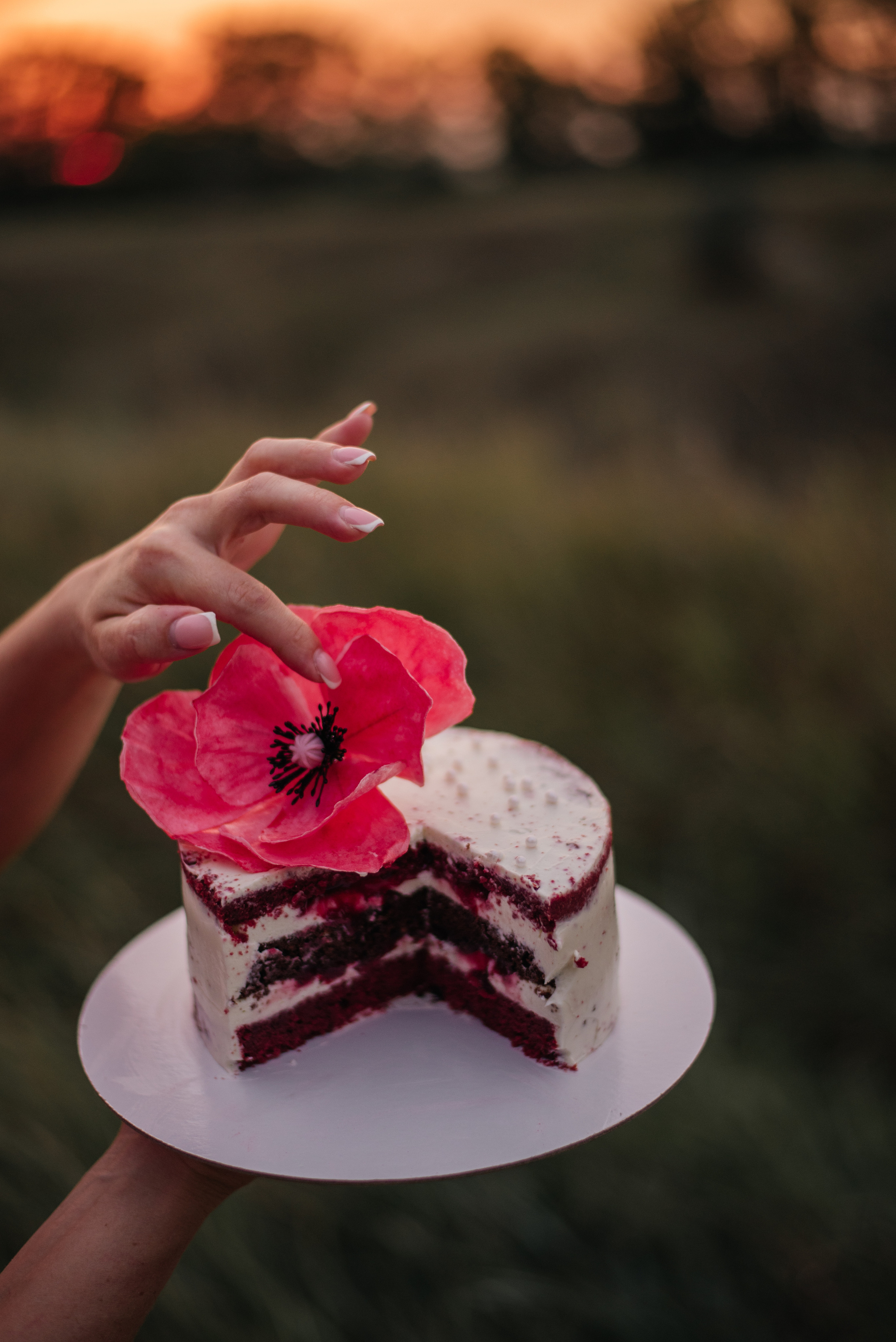 Семейная прогулка. Свадебный фотограф Белгород