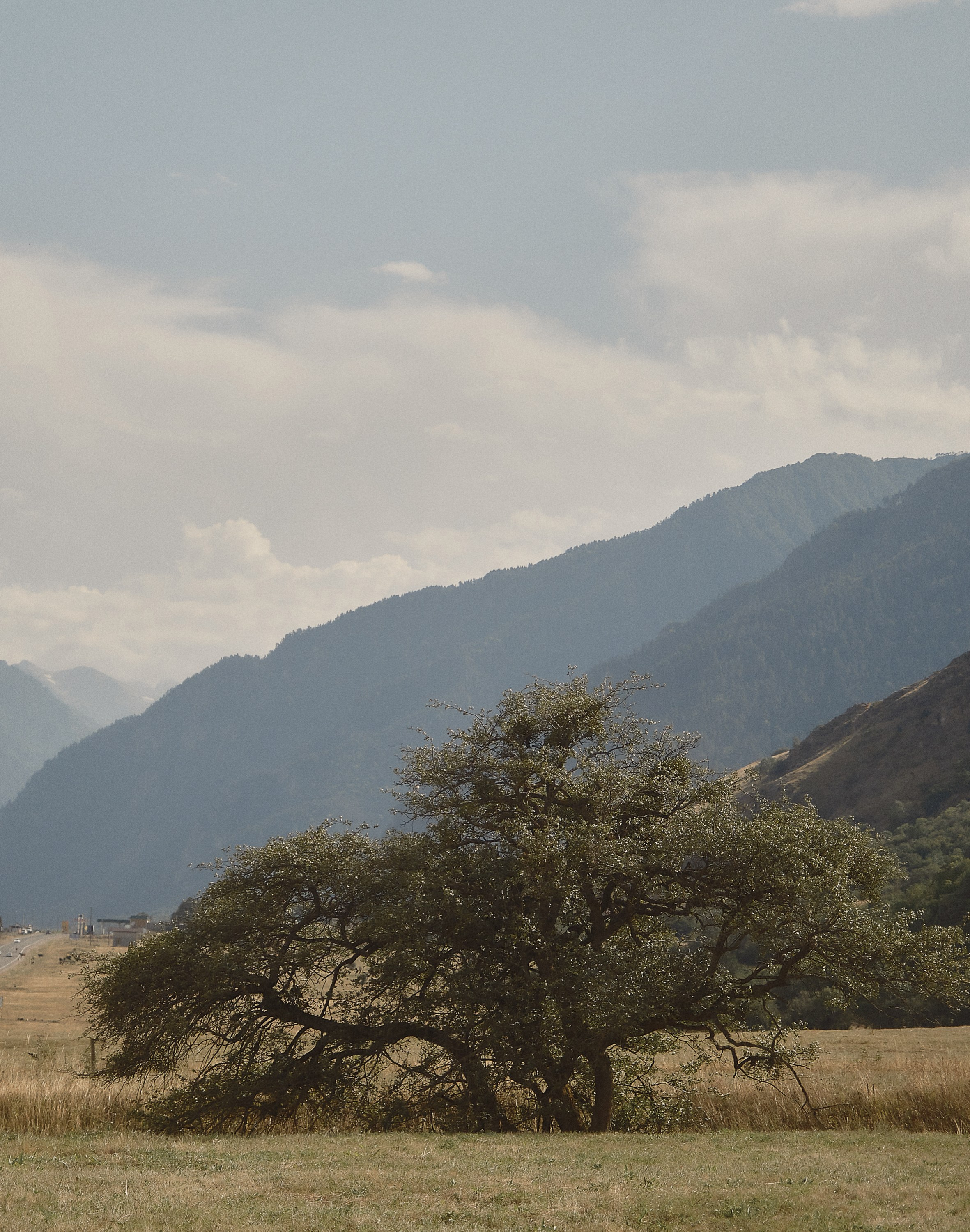 Игорь и Даша. Любовь среди гор. Семейный и свадебный фотограф в Краснодаре