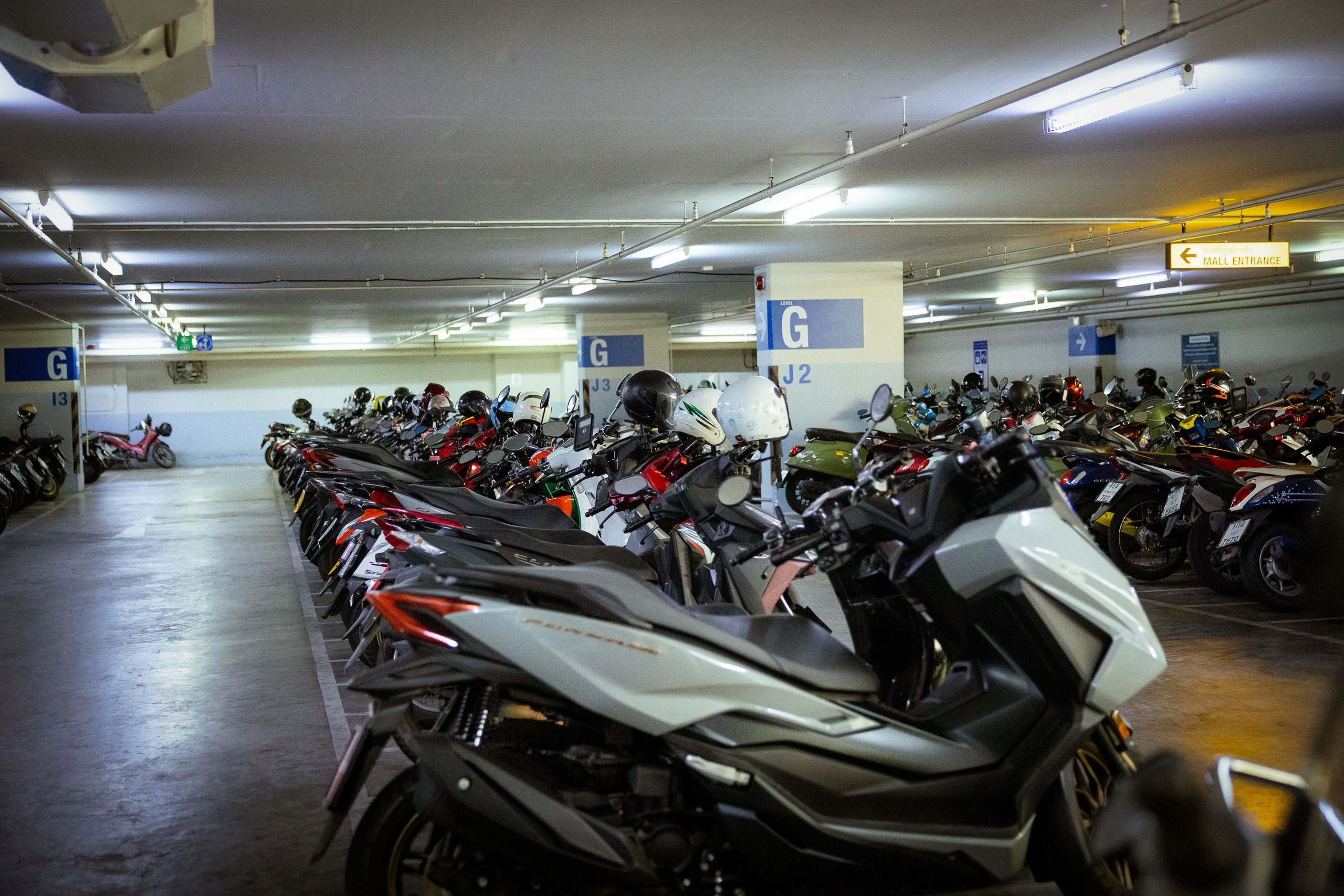 Таиланд (зима 2025). Фотограф Виноградов Константин