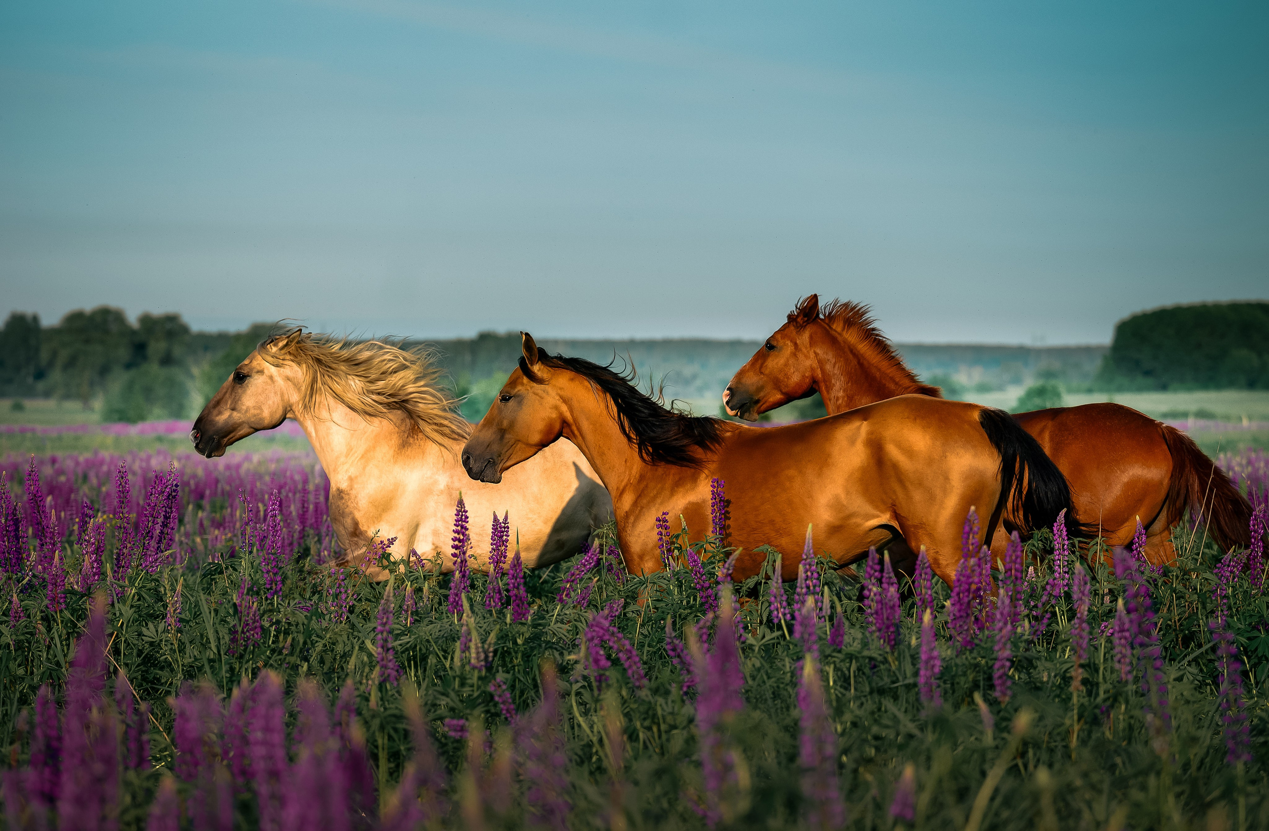 Фотограф в Ростове —на — Дону