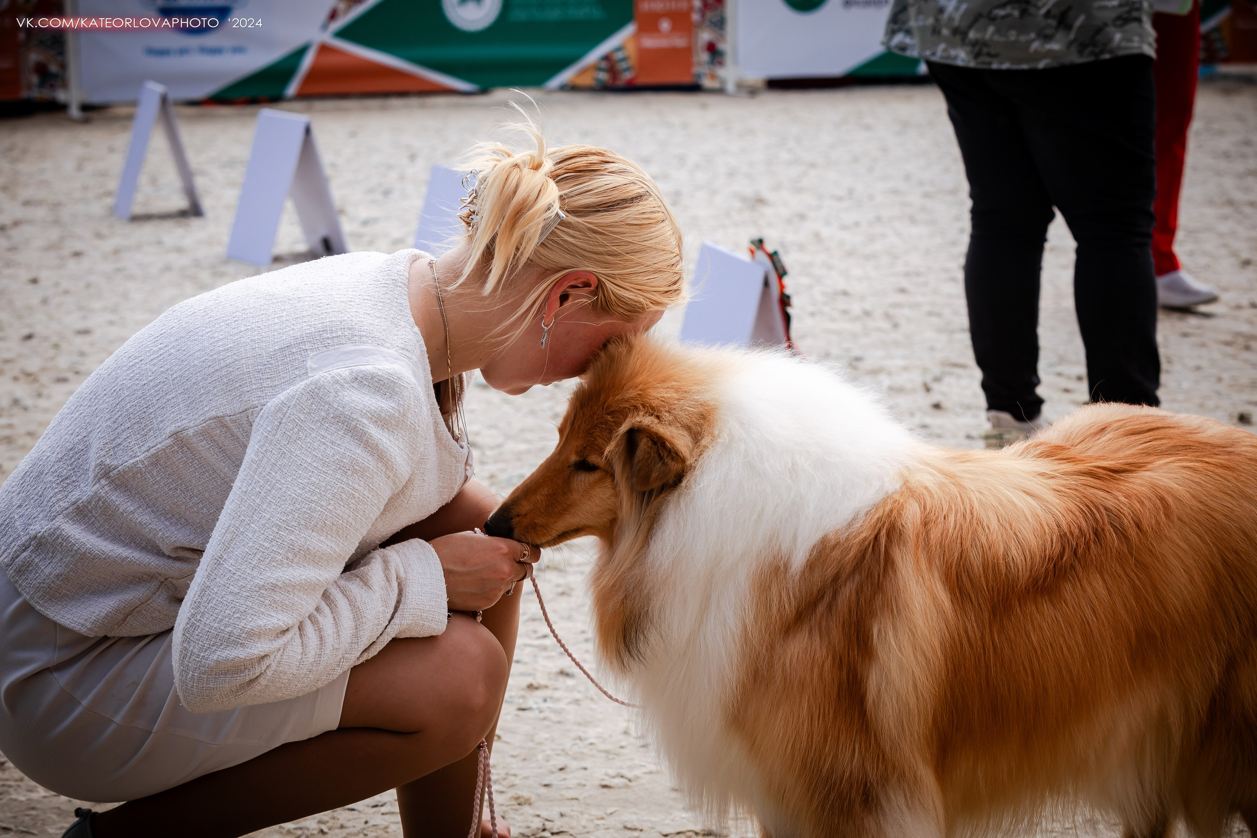 Фотосъемка собак, щенков, на выставках, фотограф анималист Россия воронеж. Питомник собак Акита, Хаски, Корги