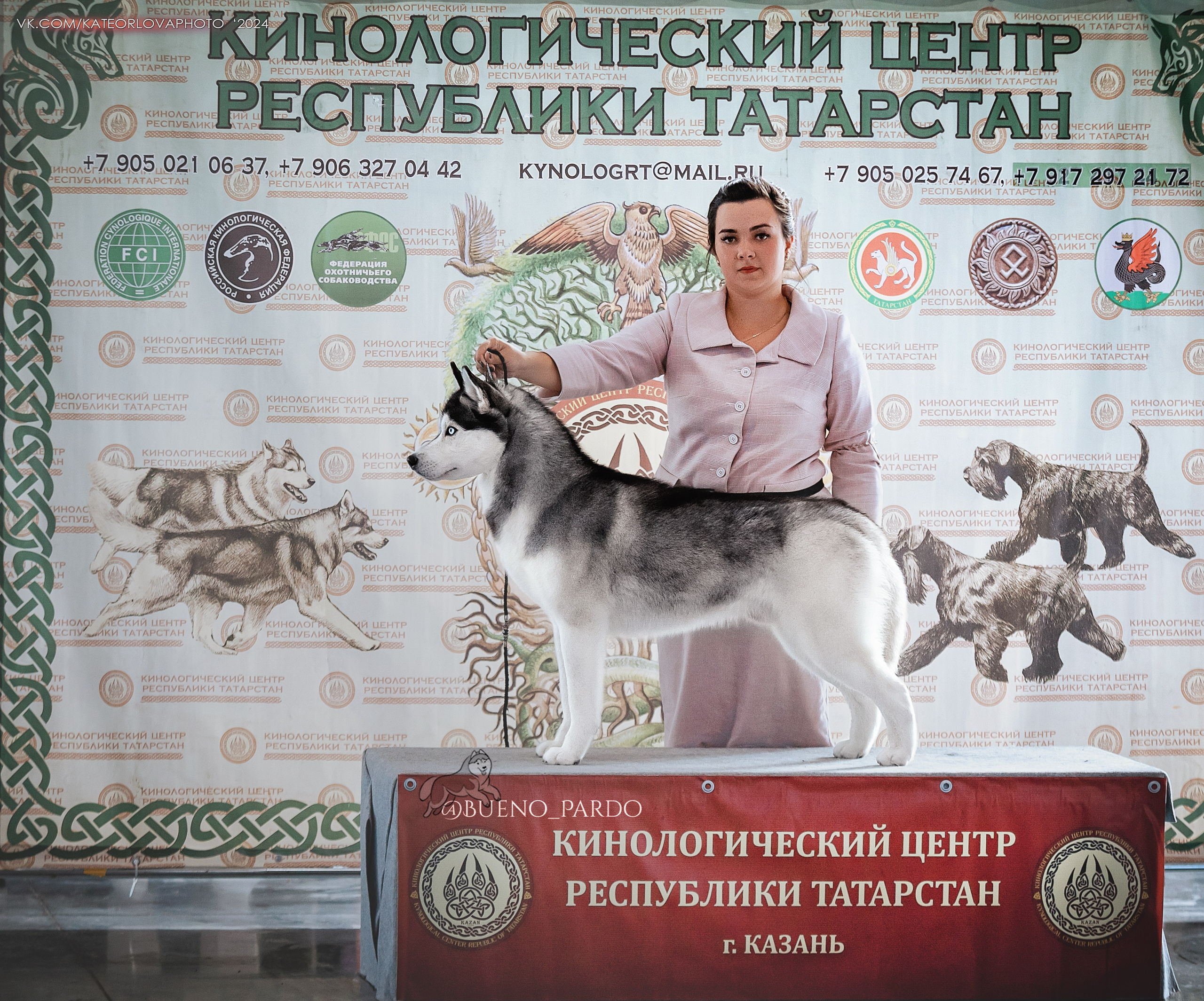 Фотосъемка собак, щенков, на выставках, фотограф анималист Россия воронеж. Питомник собак Акита, Хаски, Корги