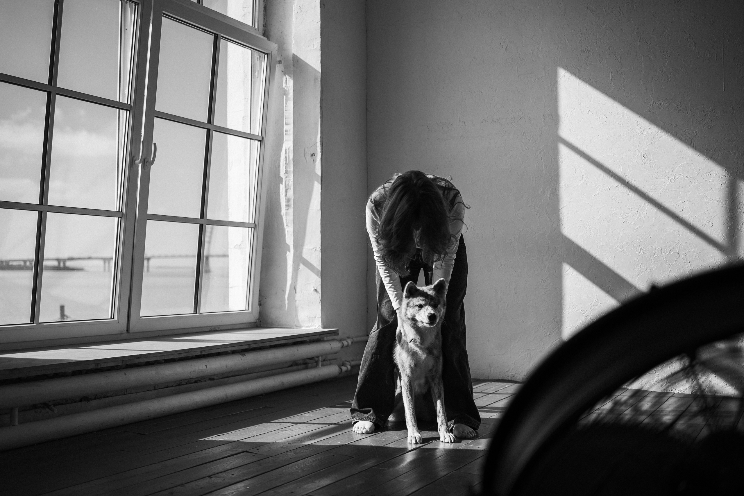 Настя и Айри. Фотограф — Анималист | Санкт-Петербург