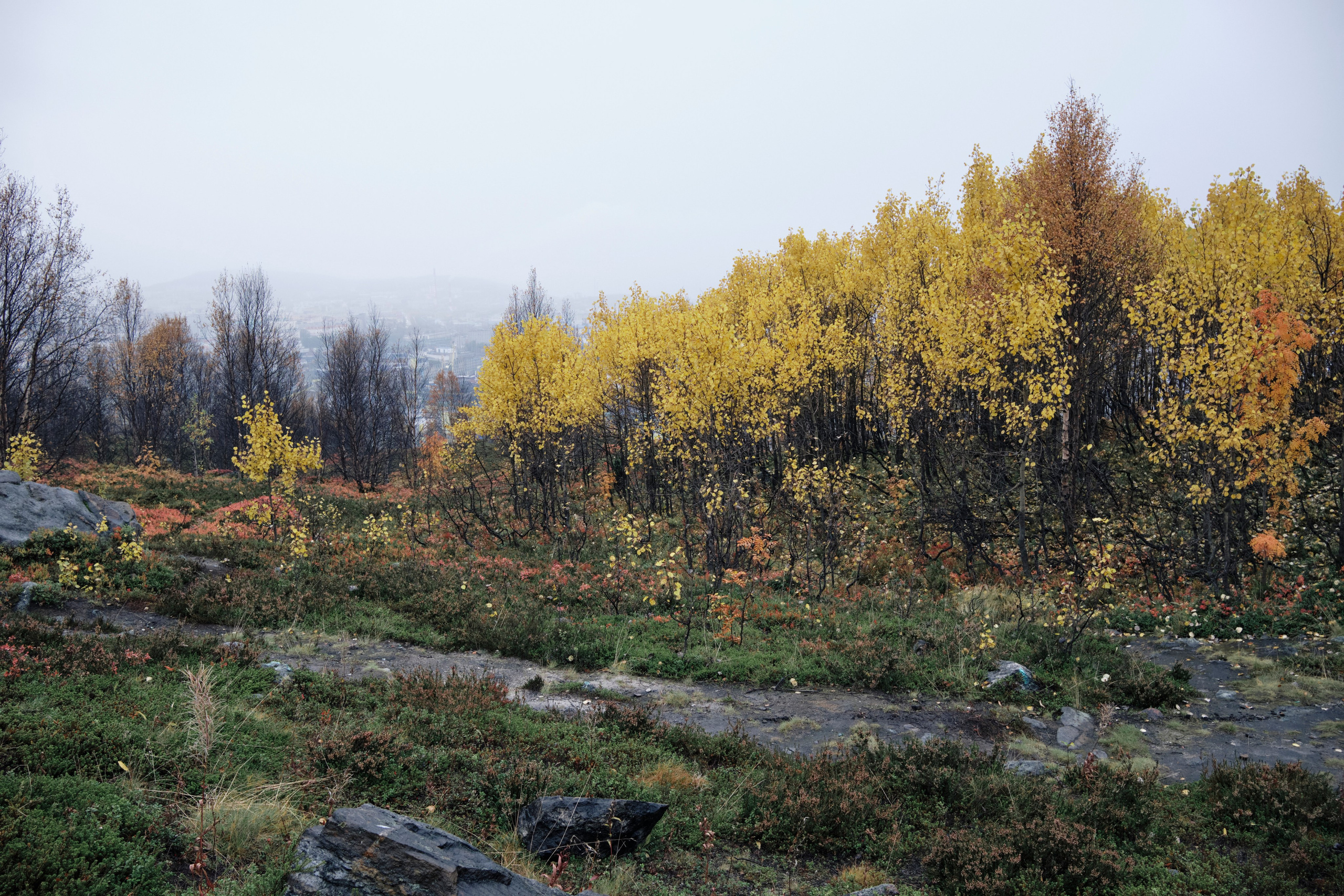Поездка в Мурманск. Заметки и фото. Елена Павленко. Фотограф. Москва