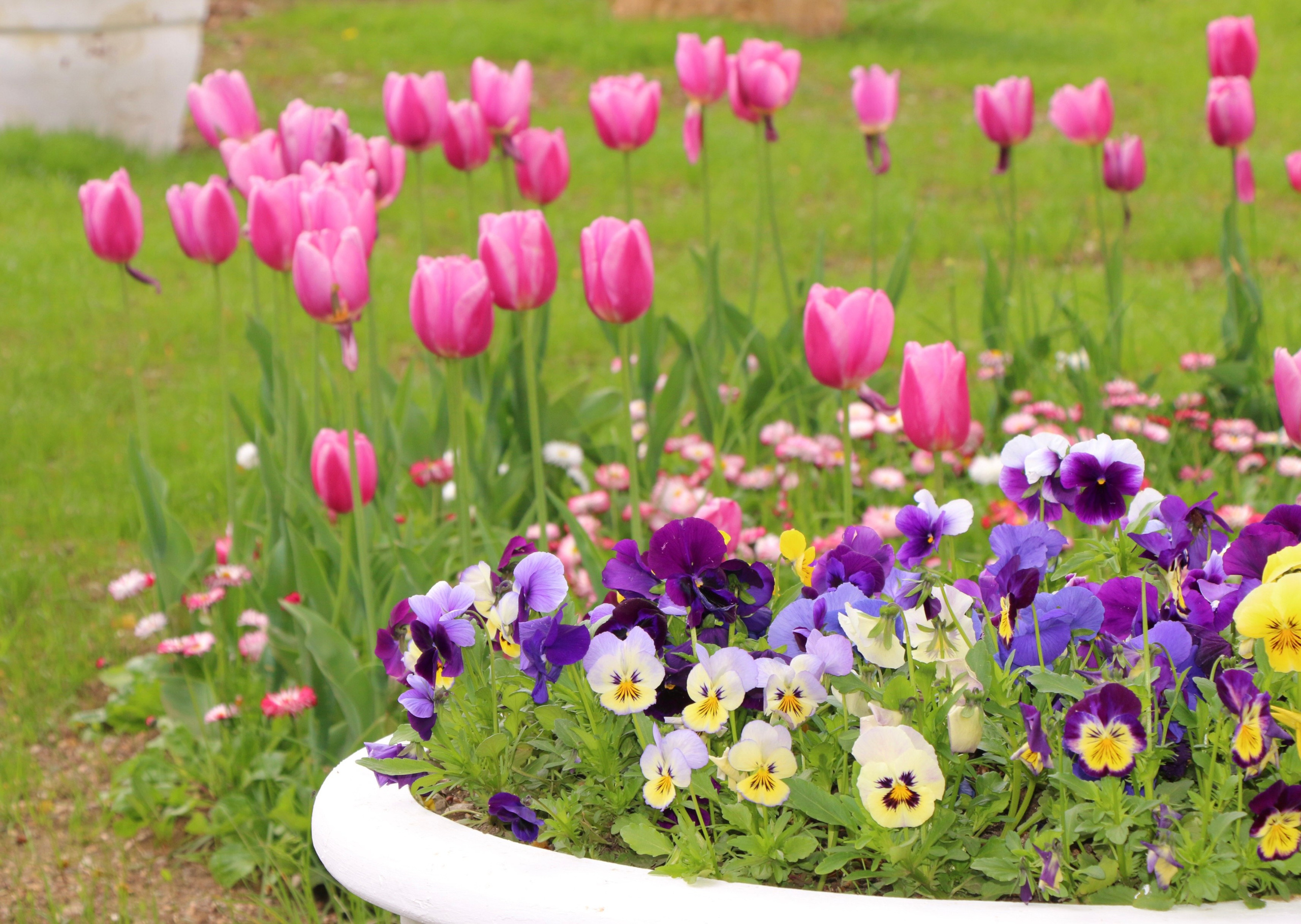 Природа. Семейный и детский фотограф в Ялте Ольга Солерина