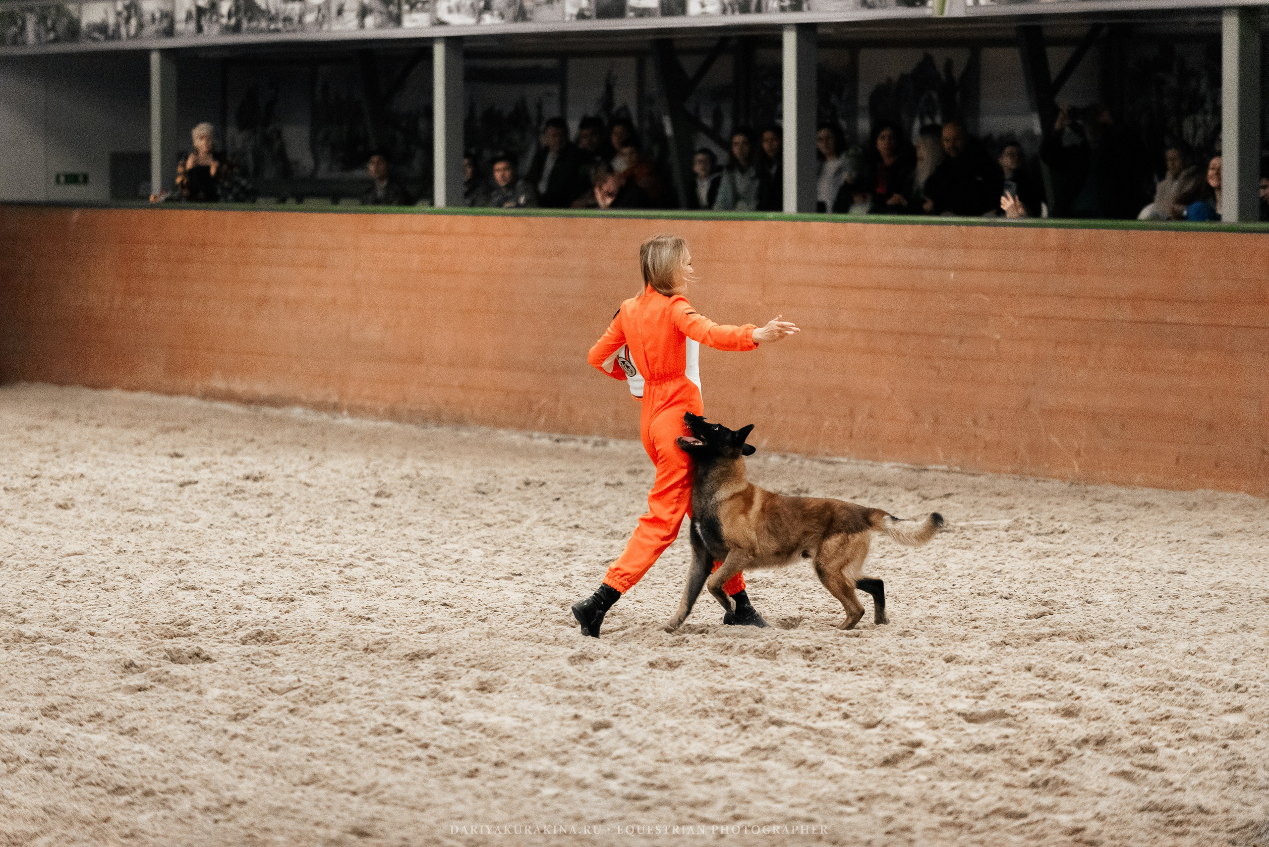 Конное представление «Дыхание Звёзд». Конный фотограф Куракина Дарья • Фотосессии с лошадьми