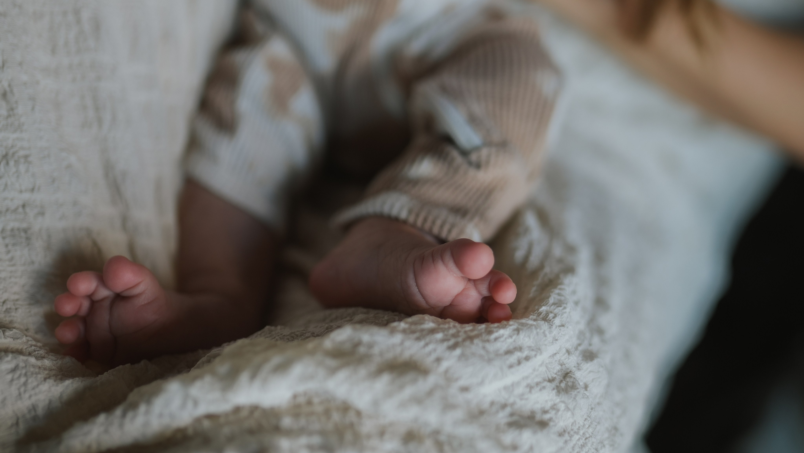 Newborn & Family Portraits — Heartfelt Austin Photography