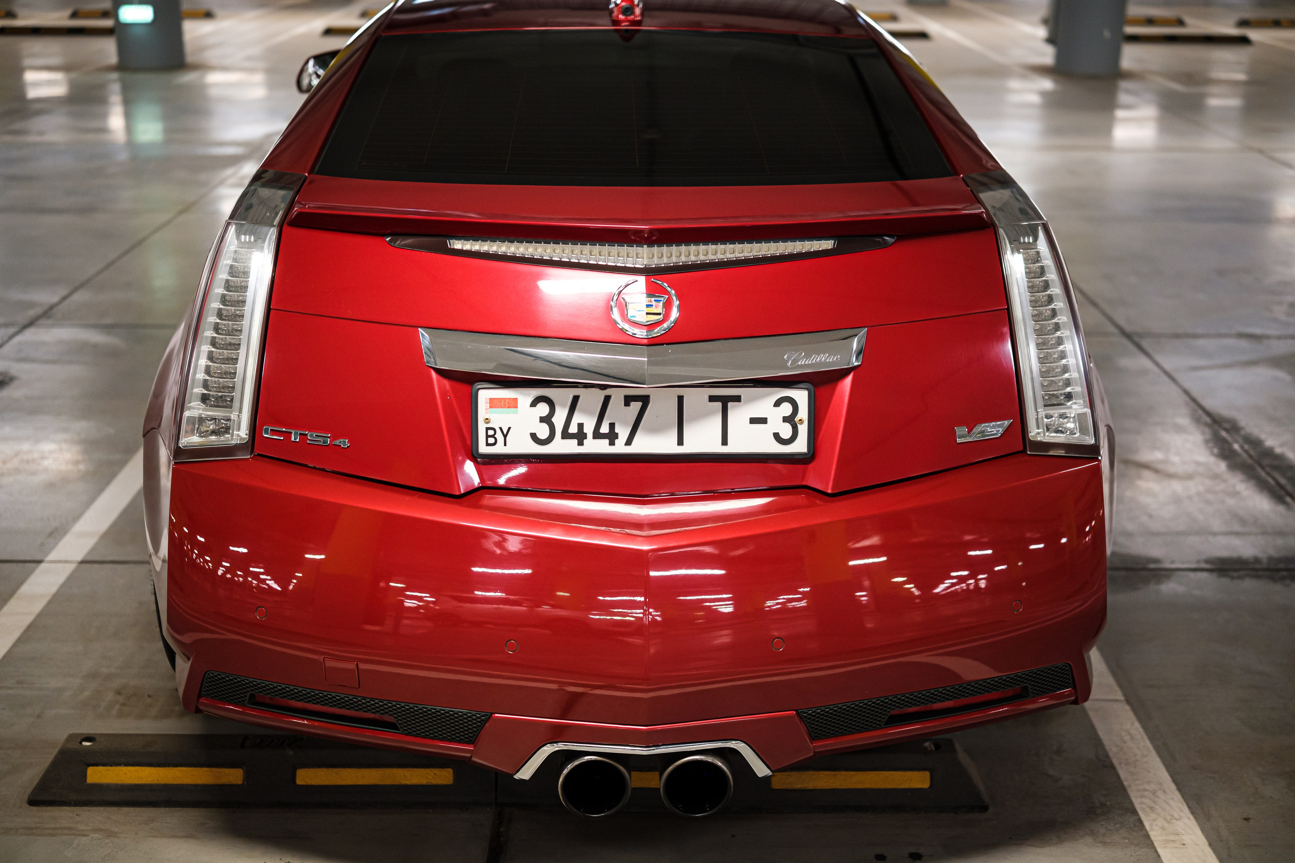 Кэдди. Алексей Никифоров фотограф Москва, Химки