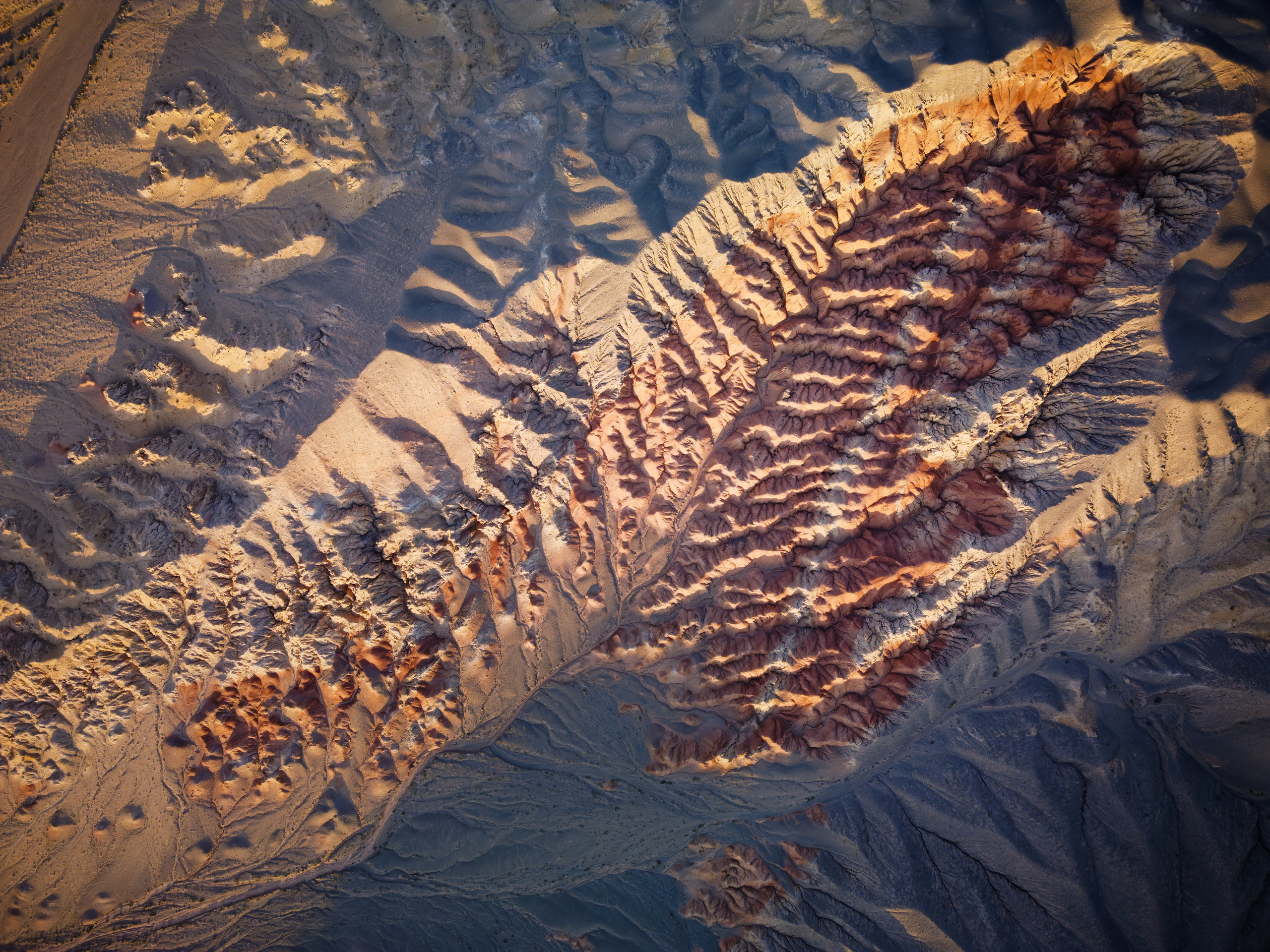 Экспедиция в Монголию (Гоби). Семоха Валерий. Фотограф