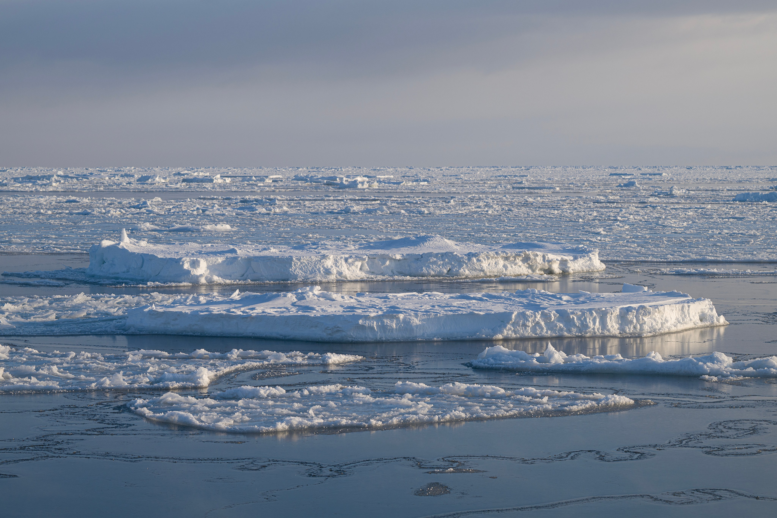 Курильские острова. Портретный фотограф в Челябинске Катерина Руди