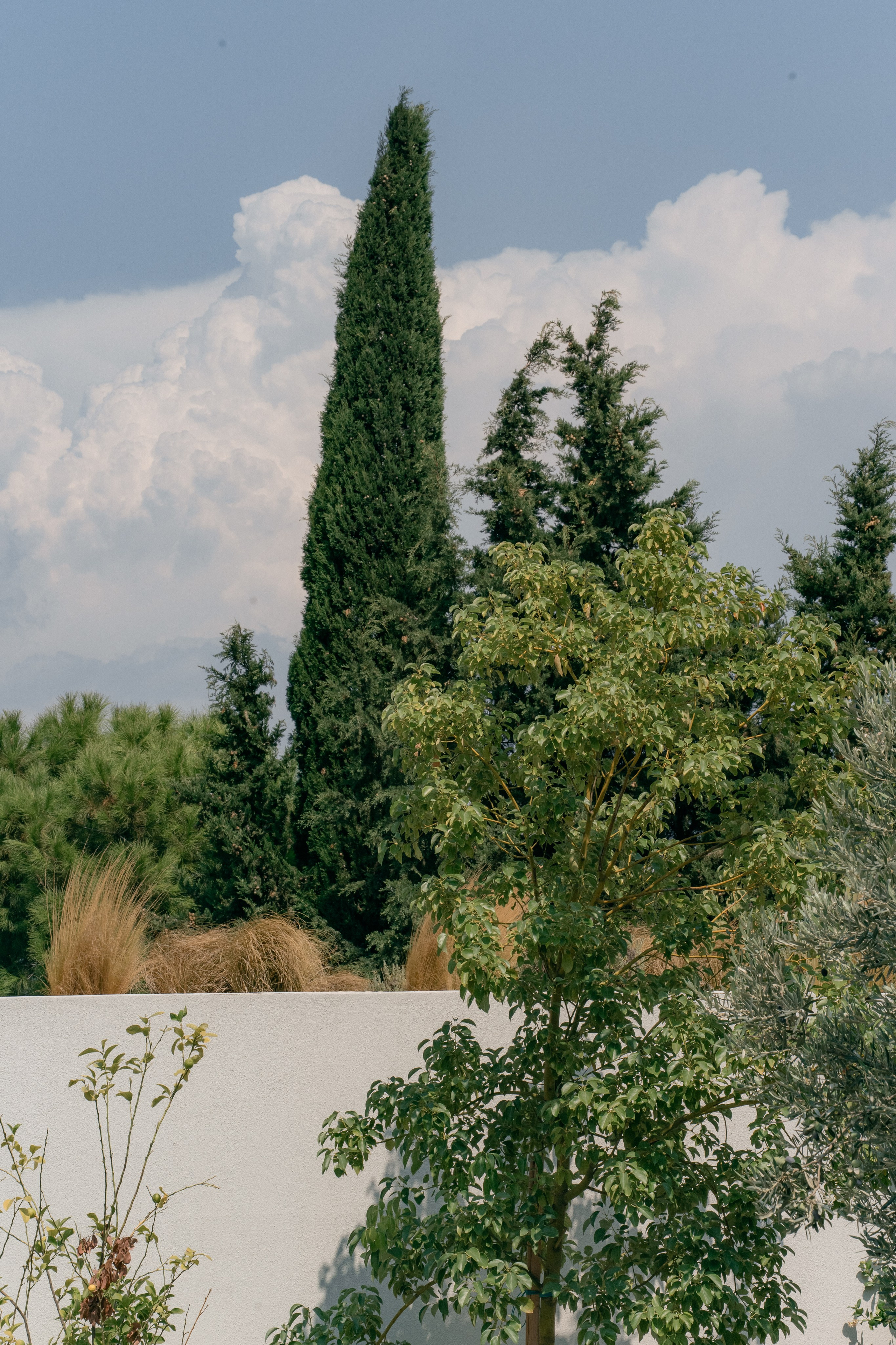 Sunshine in Izmir. Wedding & Documentary Photographer based in Nuremberg — available across Europe & Turkey | Vitalii Nasonov