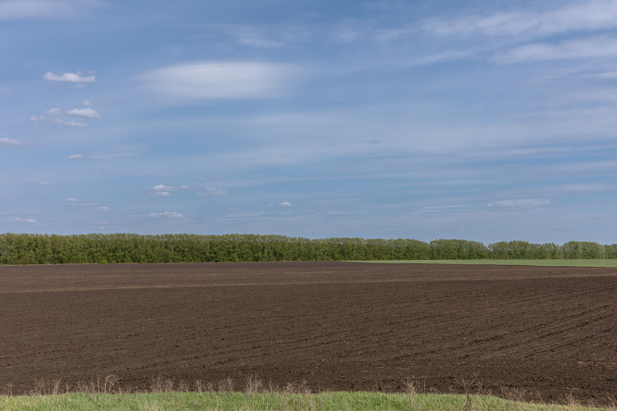 Земельный участок с объектами на нём. Владислав Волков | Фотография и видеосъемка в Воронеже