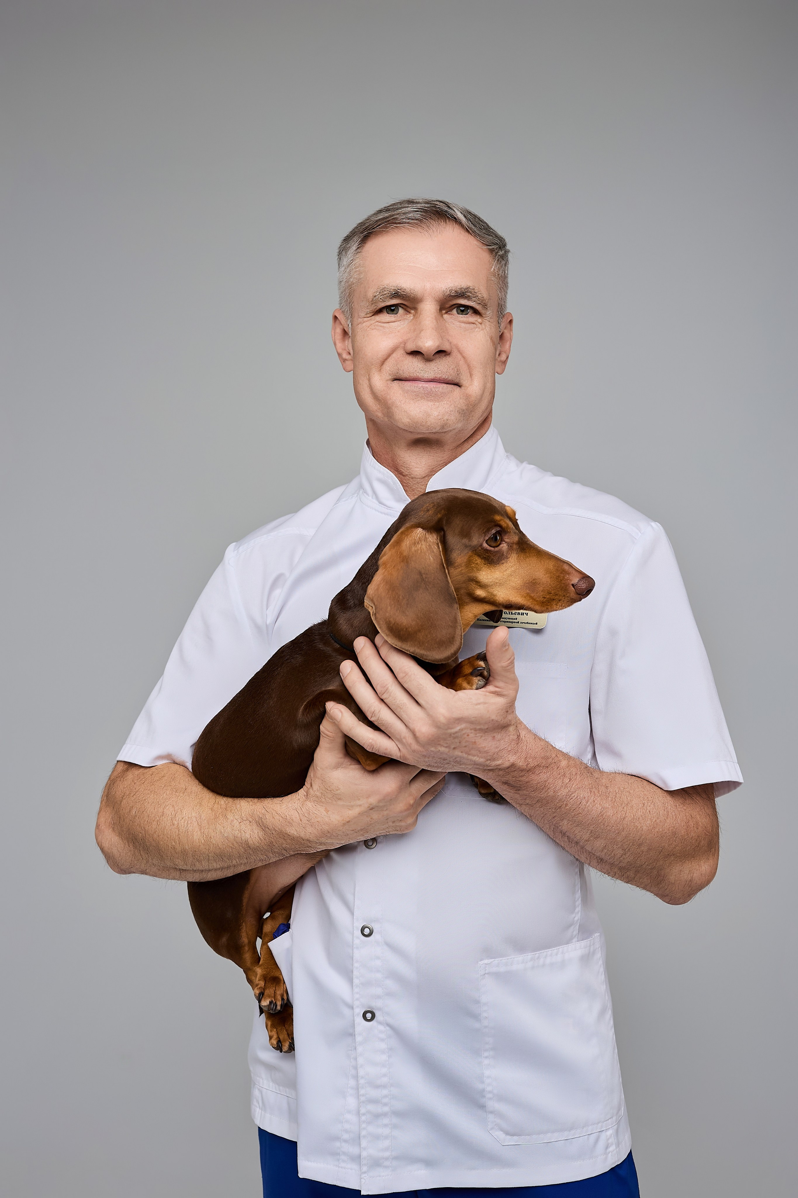 Контент для ветеринарного лендинга правительства Москвы. Фотограф и Видеограф в Москве. Олег Корушев
