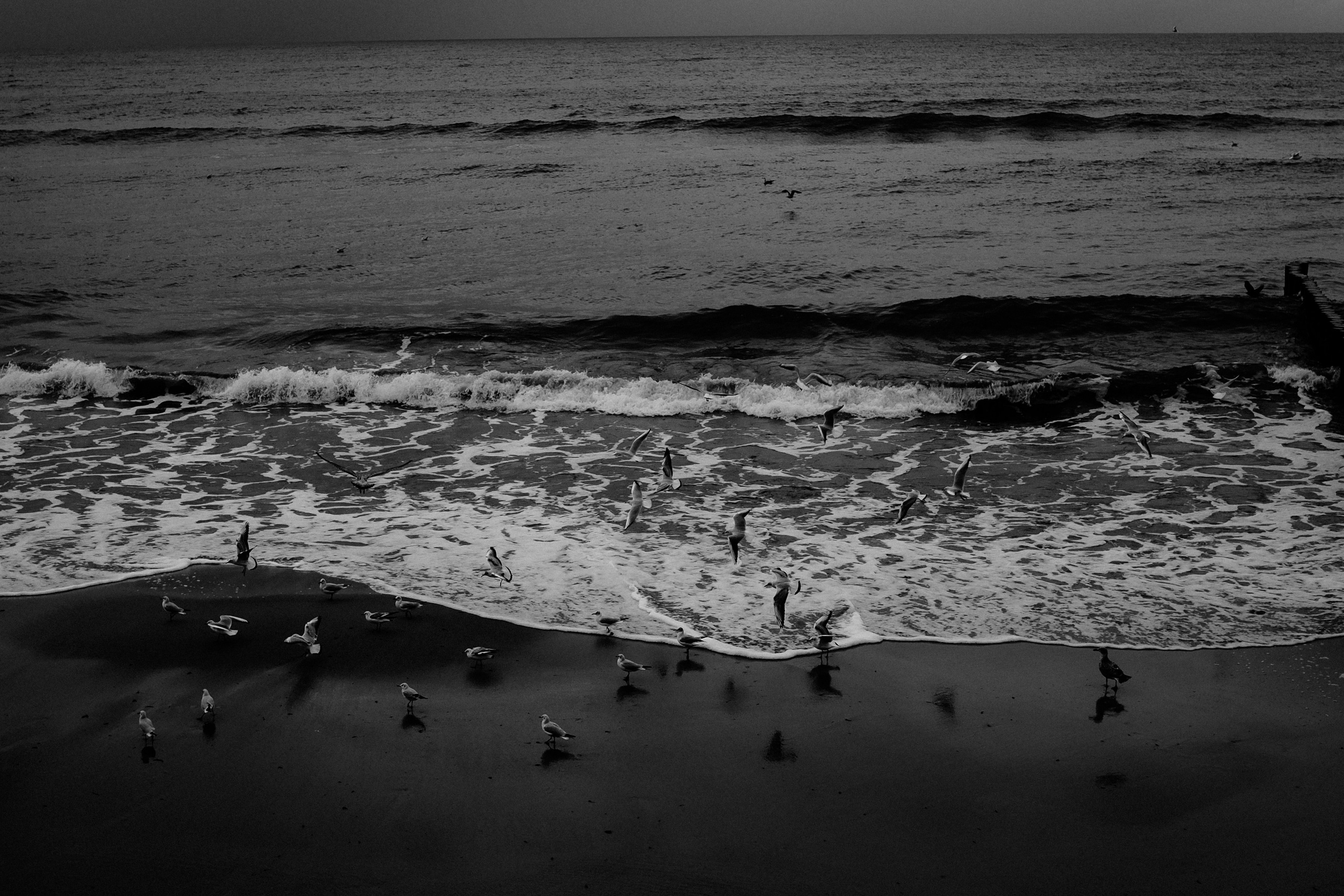 Калининград. Портретный фотограф DanilNabody