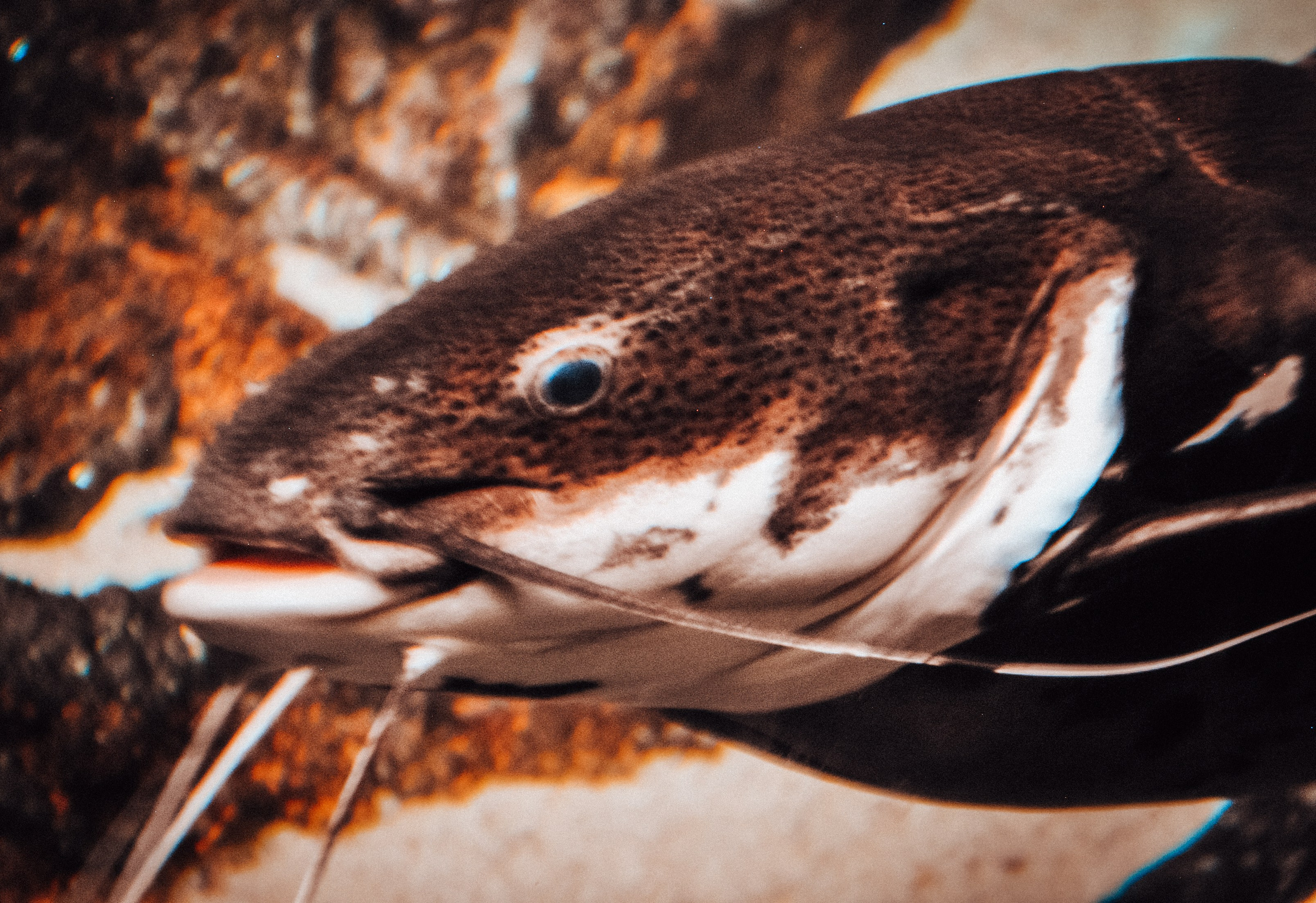 Аквапарк. Портретный фотограф DanilNabody