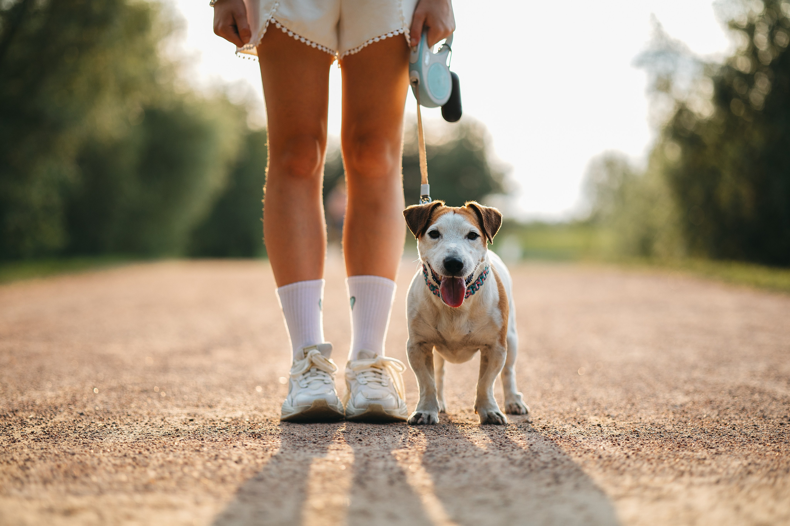 Юлиана и Риф (в обработке). Фотограф Анималист в Москве Анастасия Жучкова