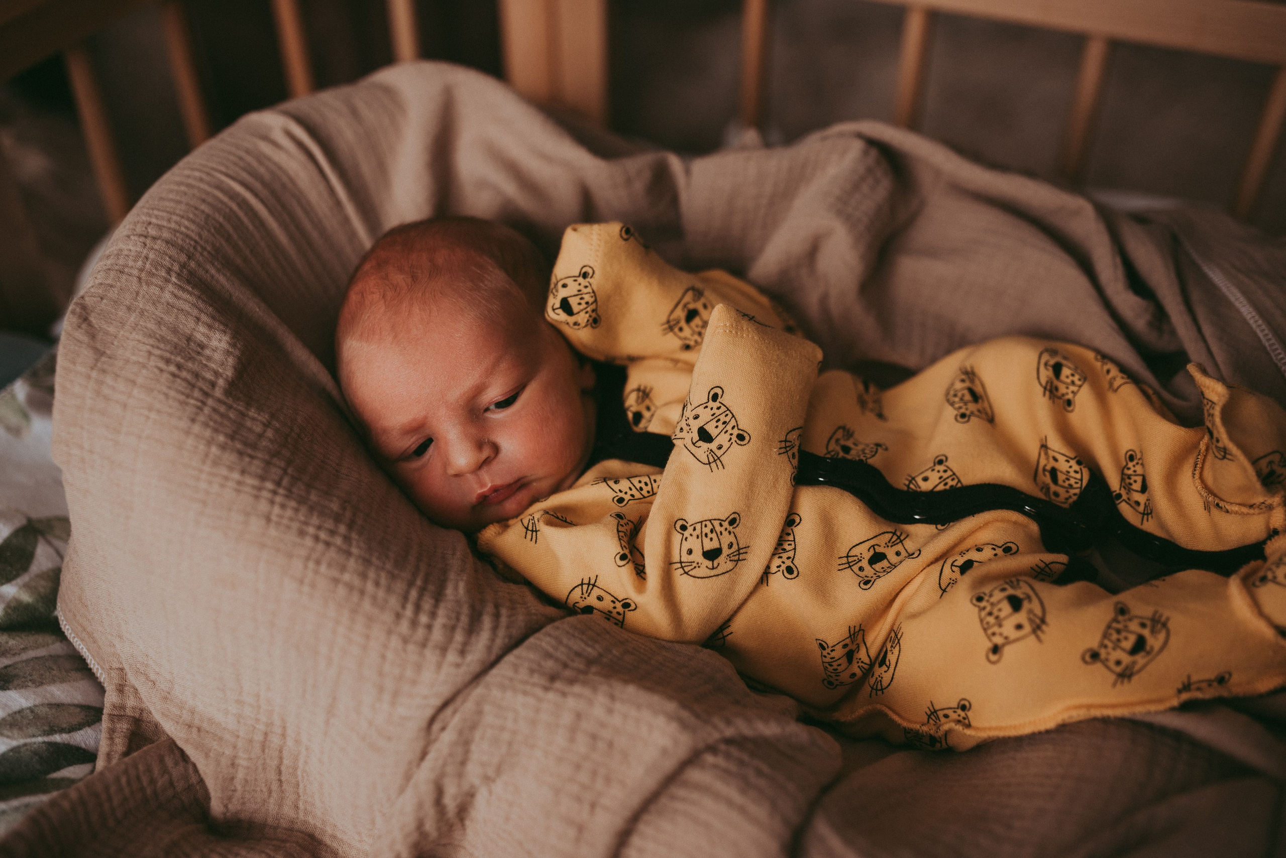Маленький космос. Семейный и детский фотограф в Новосибирске и Краснообске — Анна Ким
