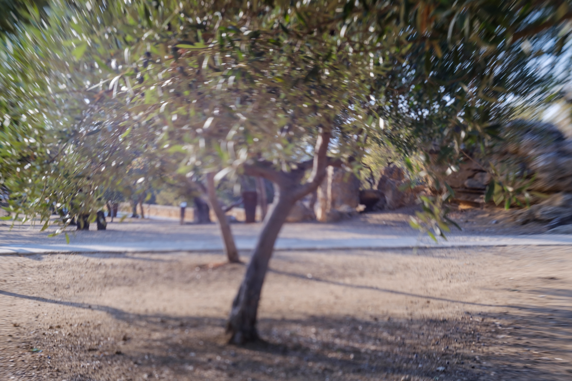 Travel. Porto Photographer Kristina Brazhnikova