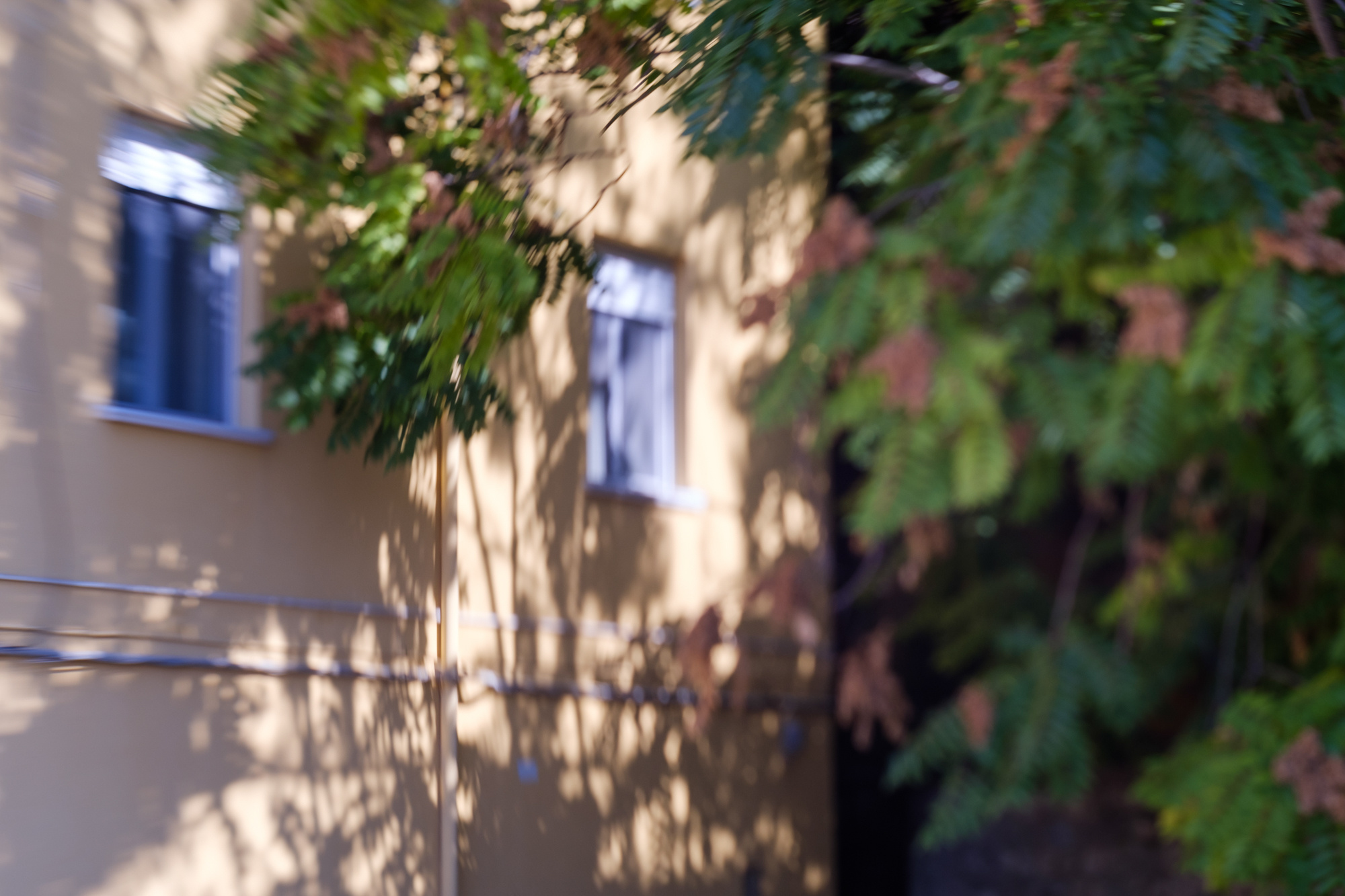 Travel. Porto Photographer Kristina Brazhnikova