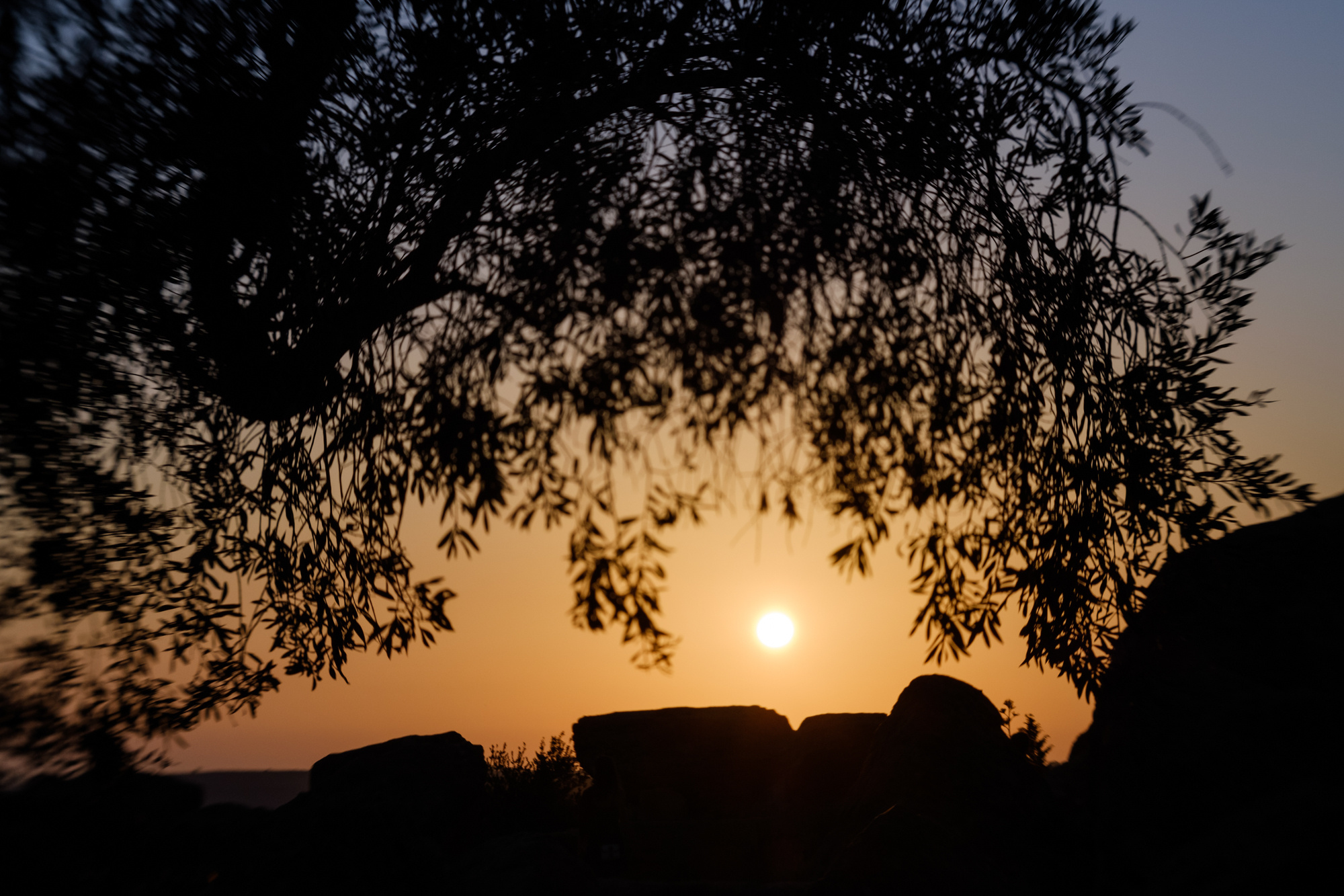 Travel. Porto Photographer Kristina Brazhnikova