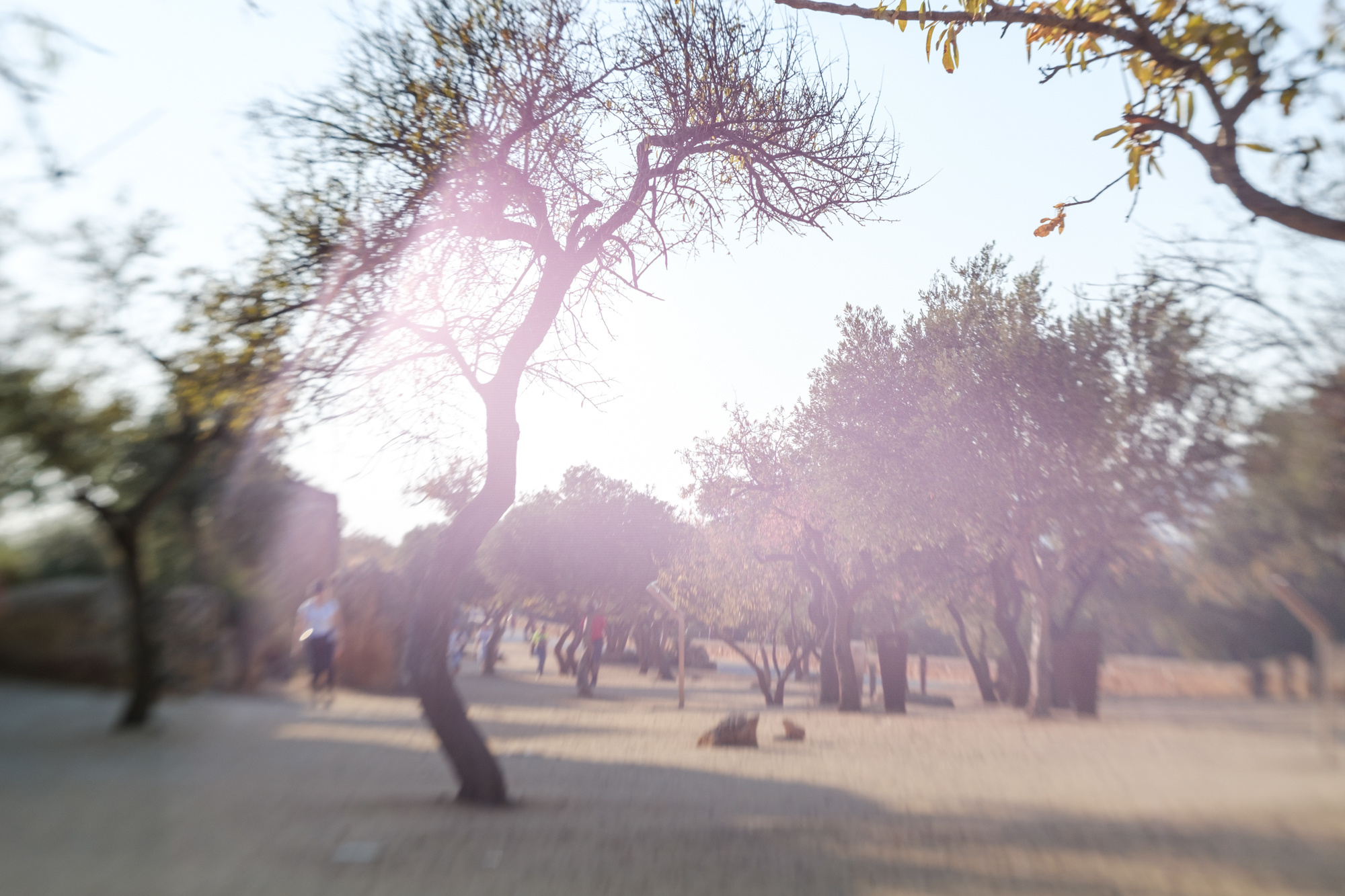 Travel. Porto Photographer Kristina Brazhnikova